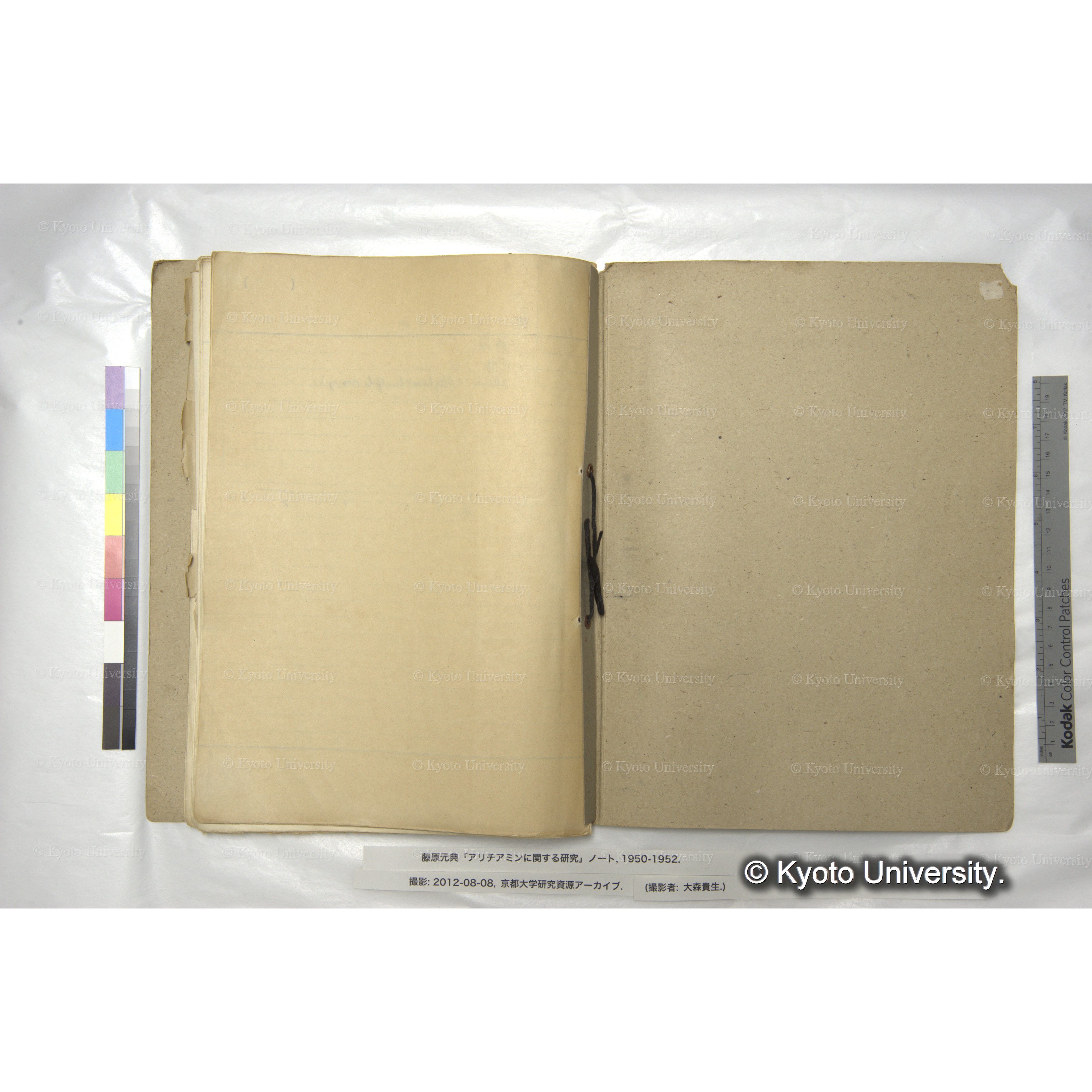 アリチアミンに関する研究 1950〜52 (79)