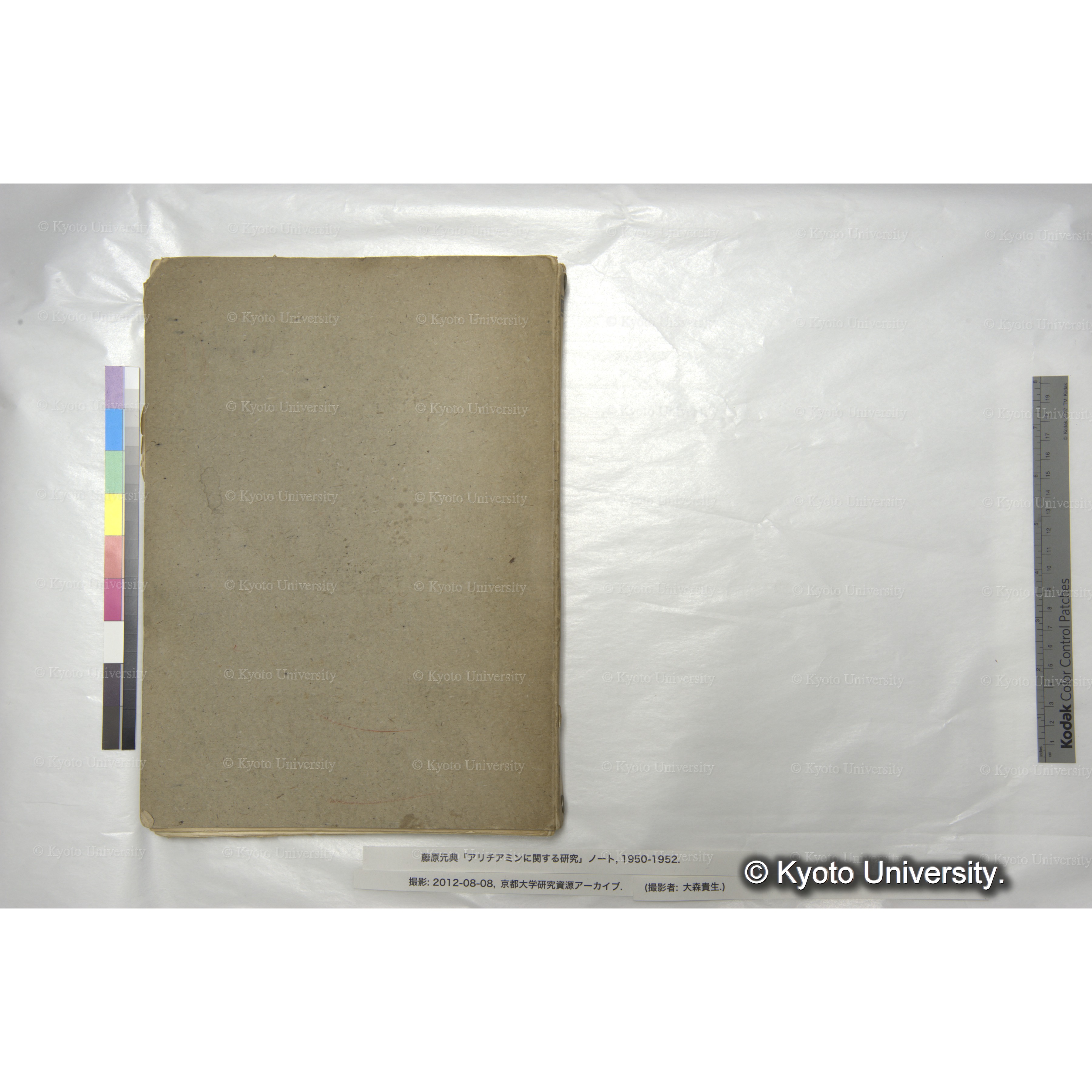 アリチアミンに関する研究 1950〜52 (80)