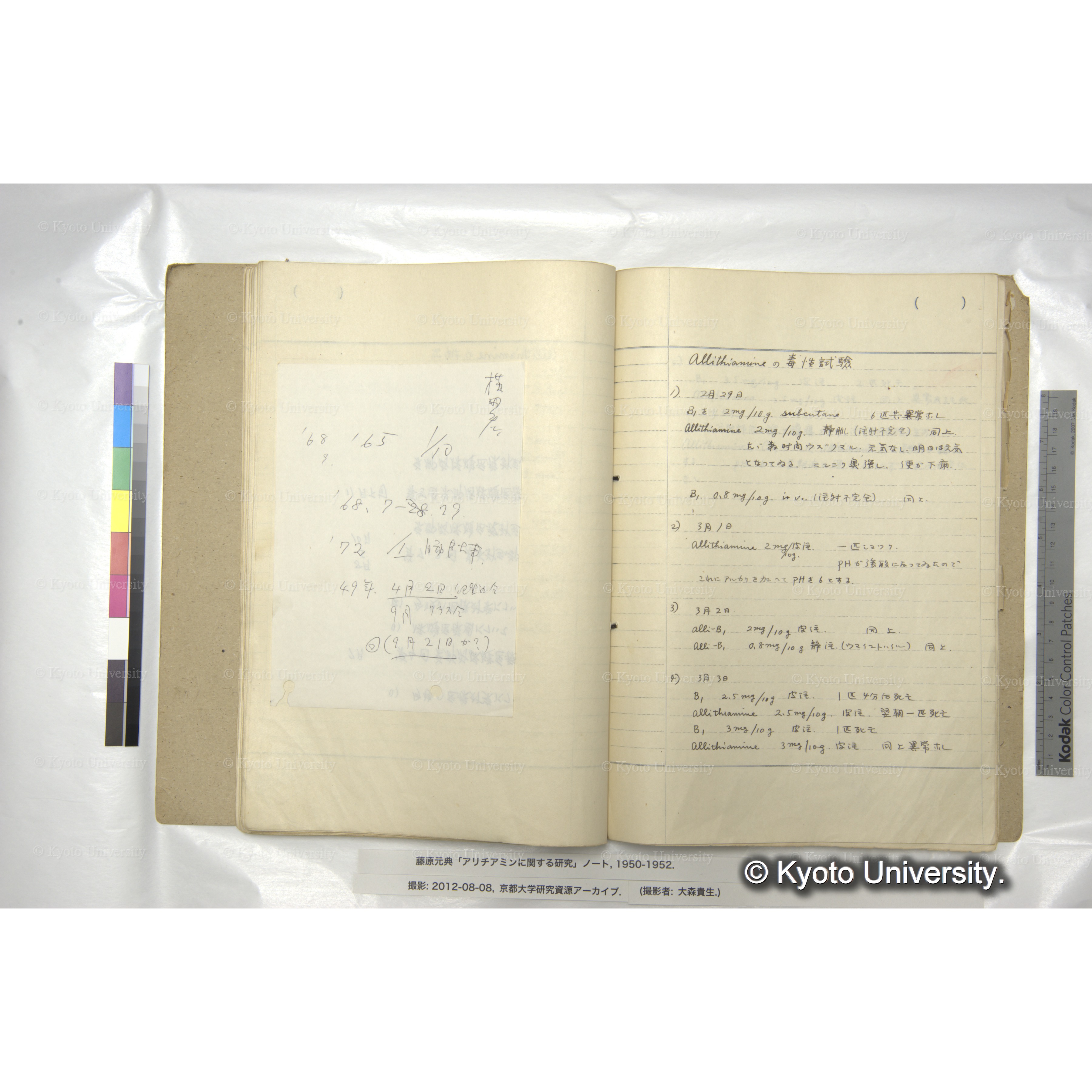 Allithiamineの毒性試験 (1)