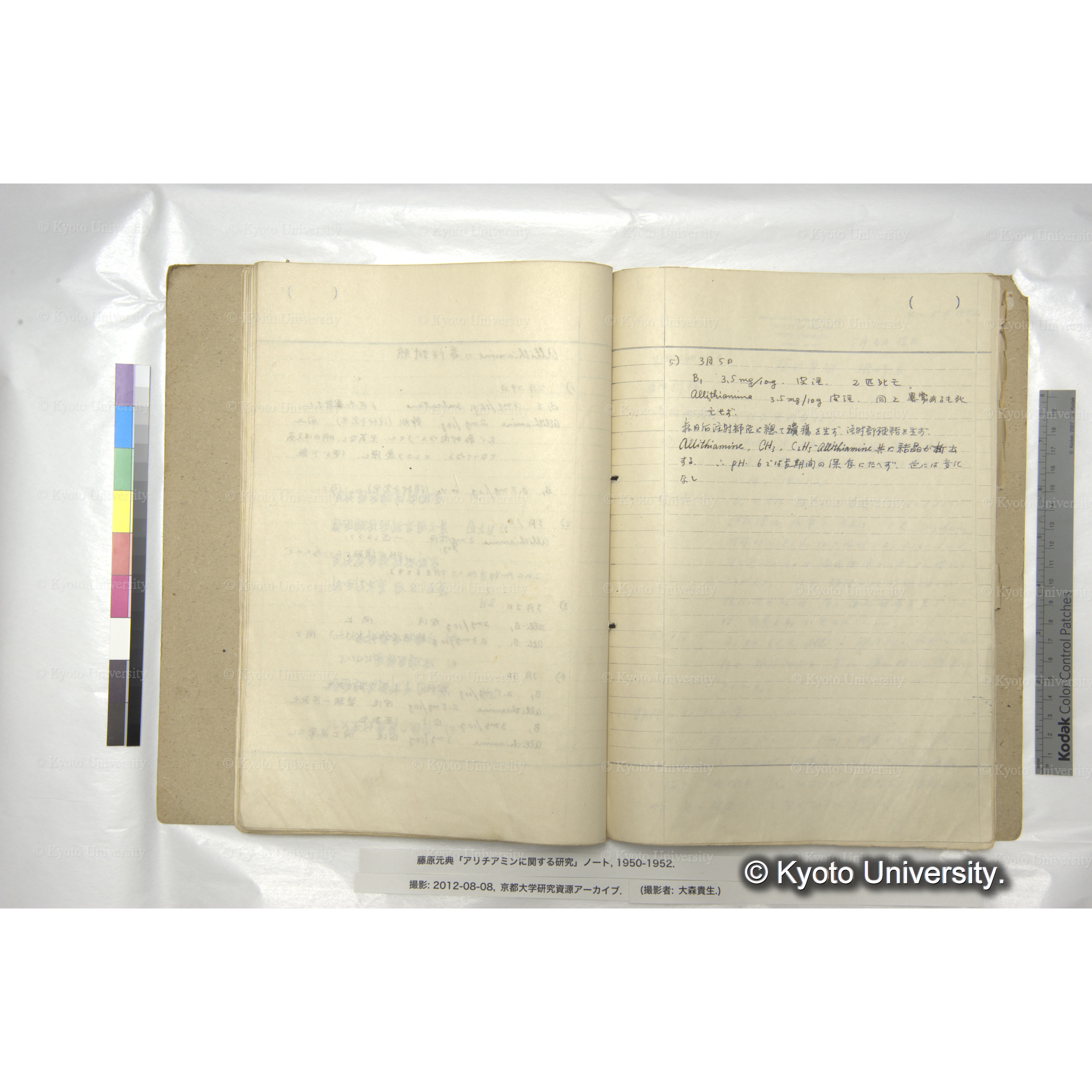 Allithiamineの毒性試験 (3)