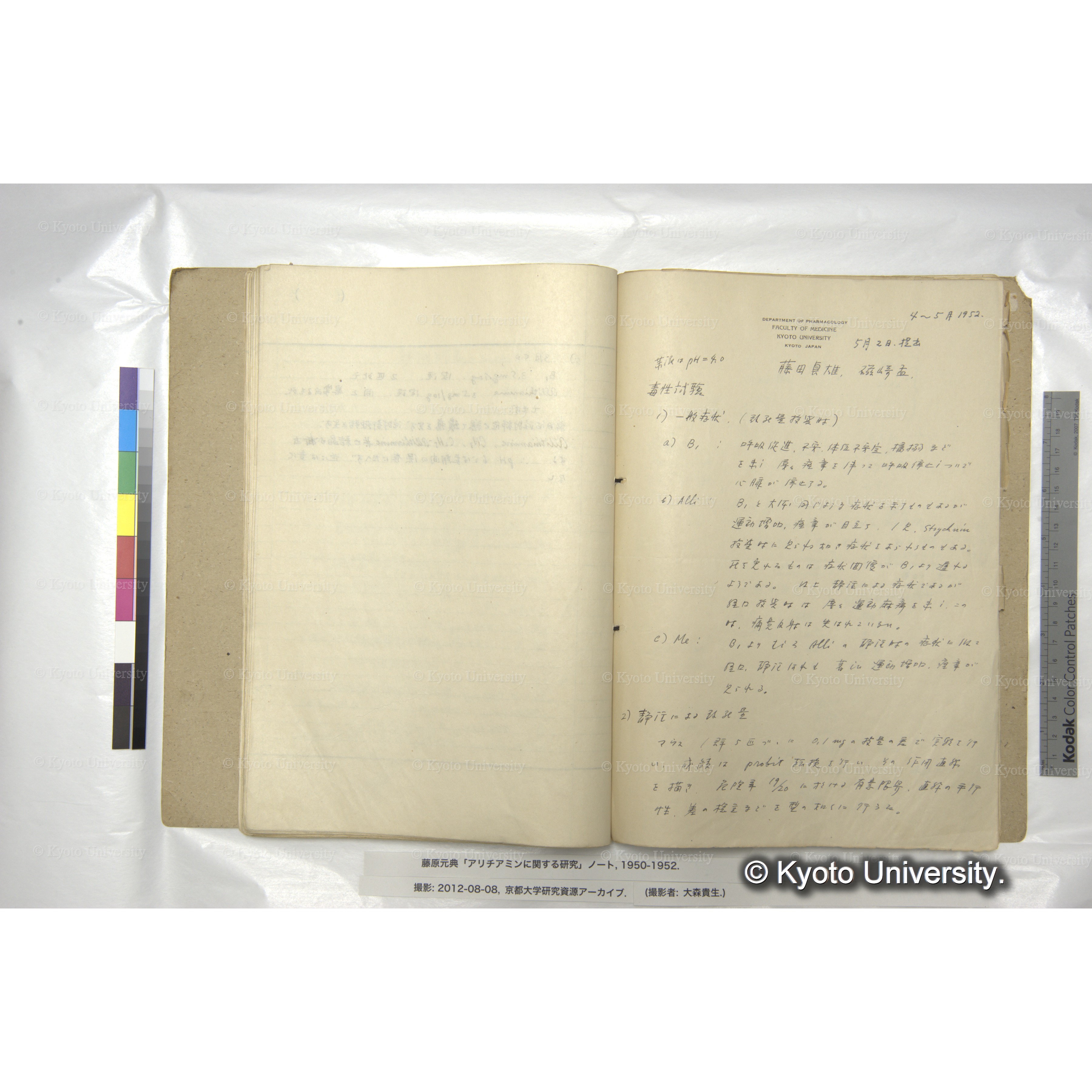 Allithiamineの毒性試験 (4)