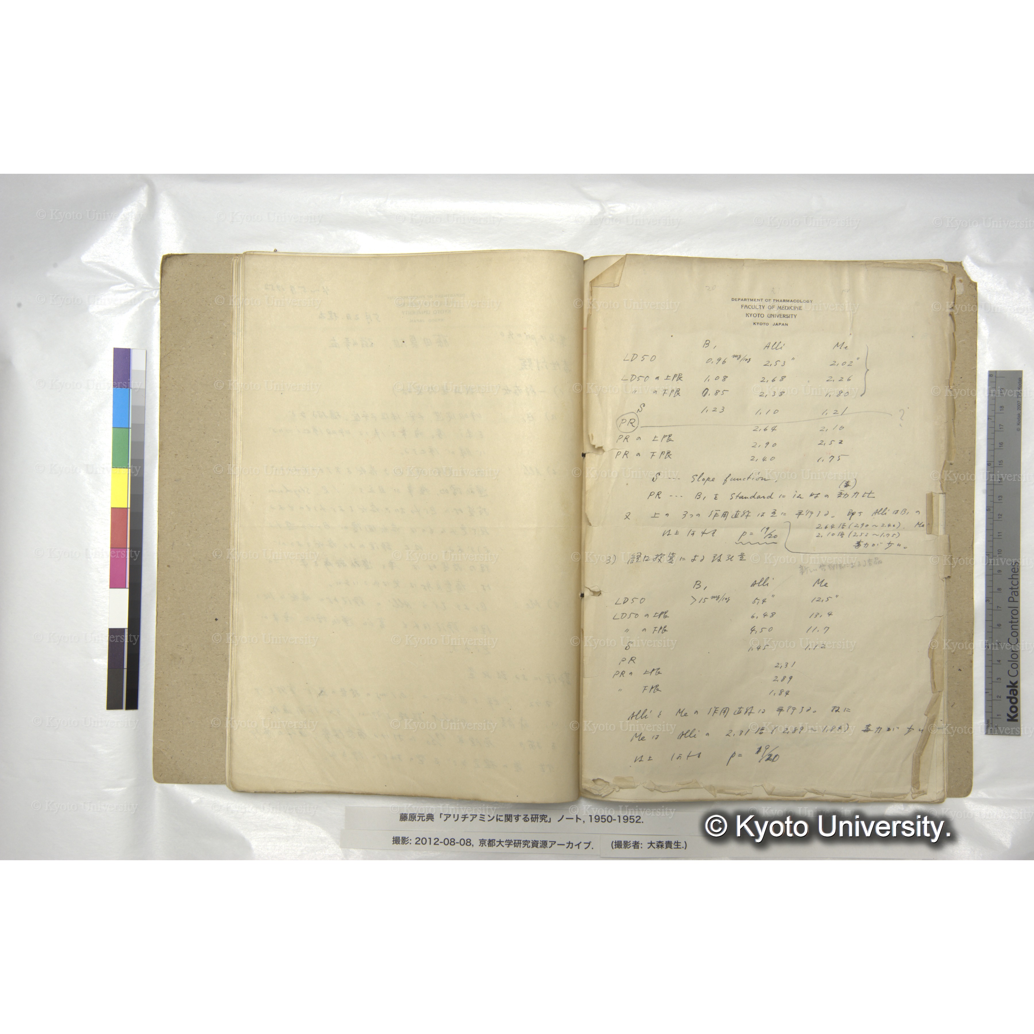 Allithiamineの毒性試験 (5)