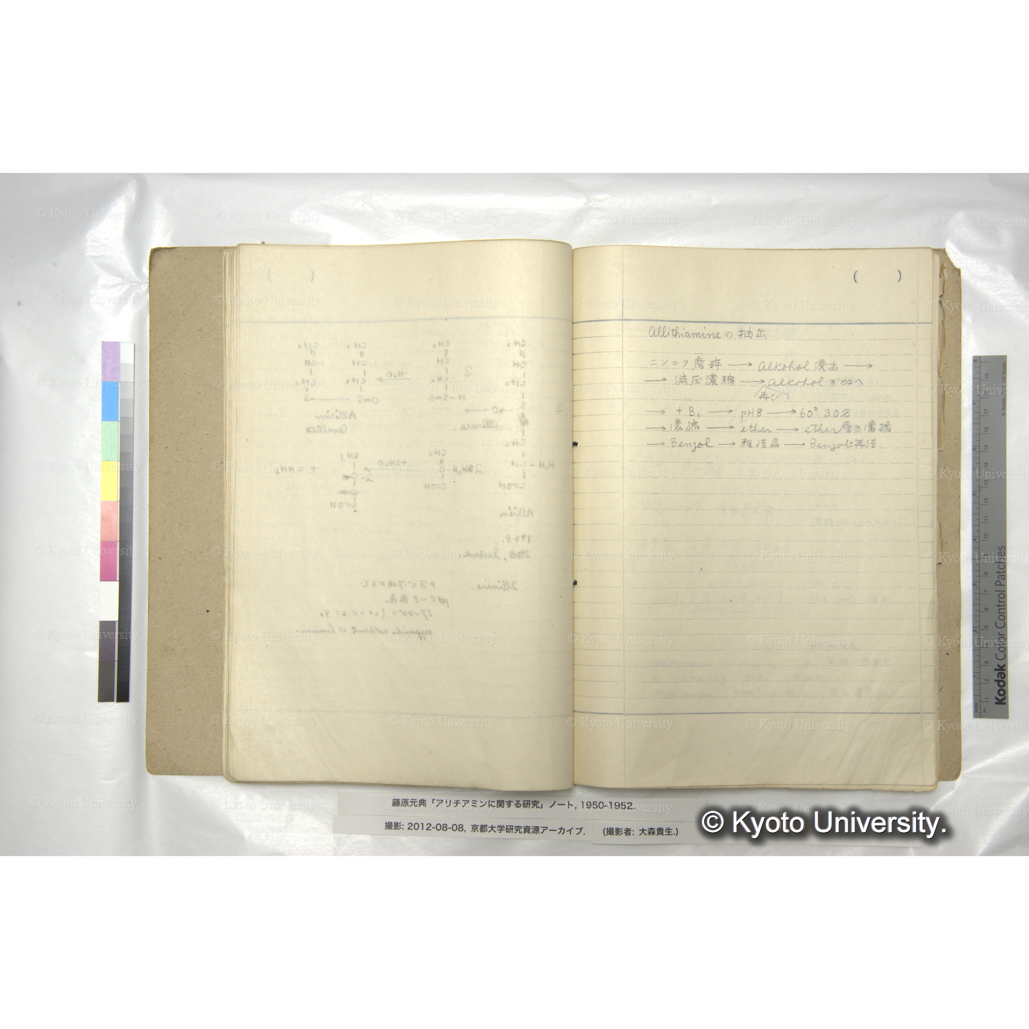 Allithiamineの抽出 (1)