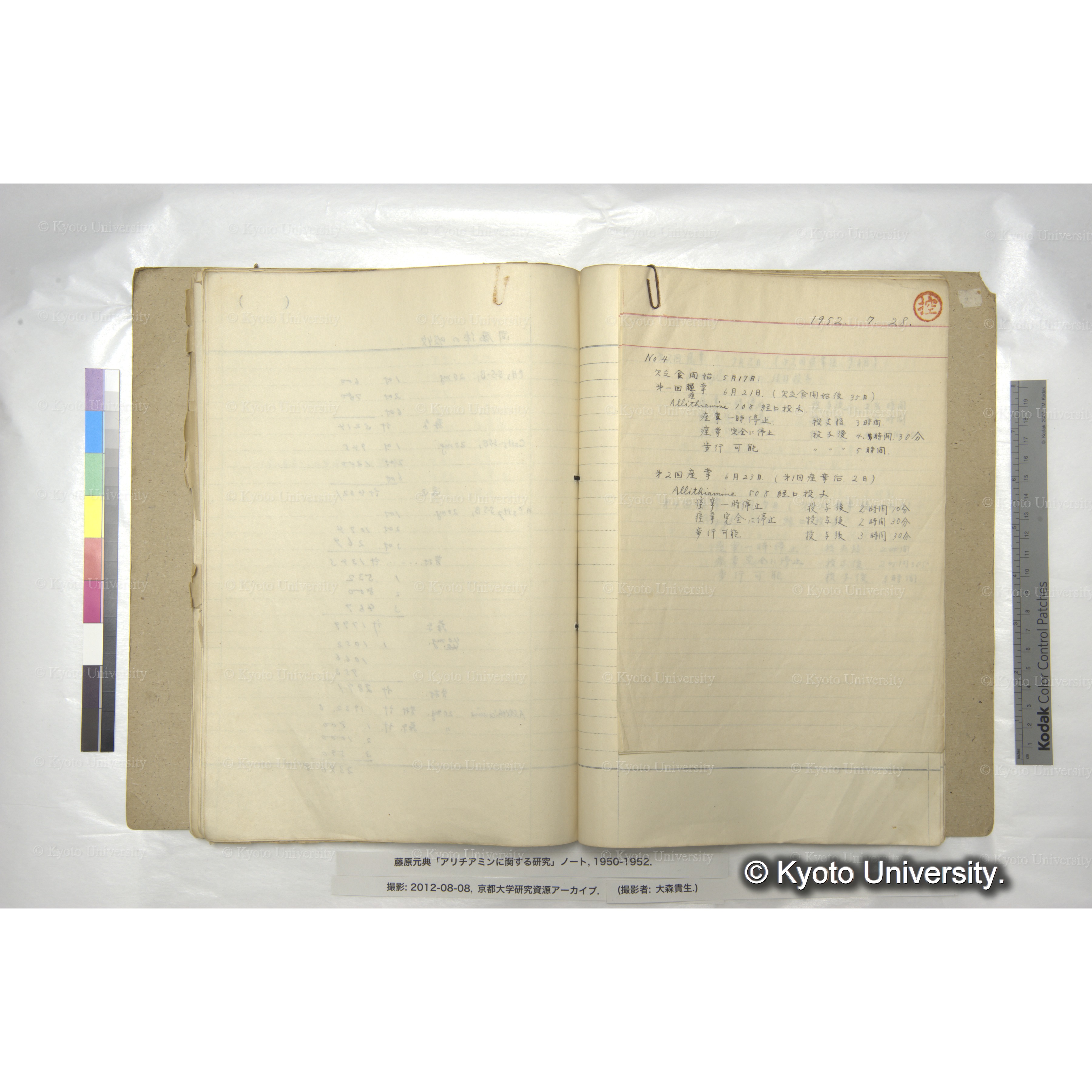 〔動物実験の記録か〕 (1)