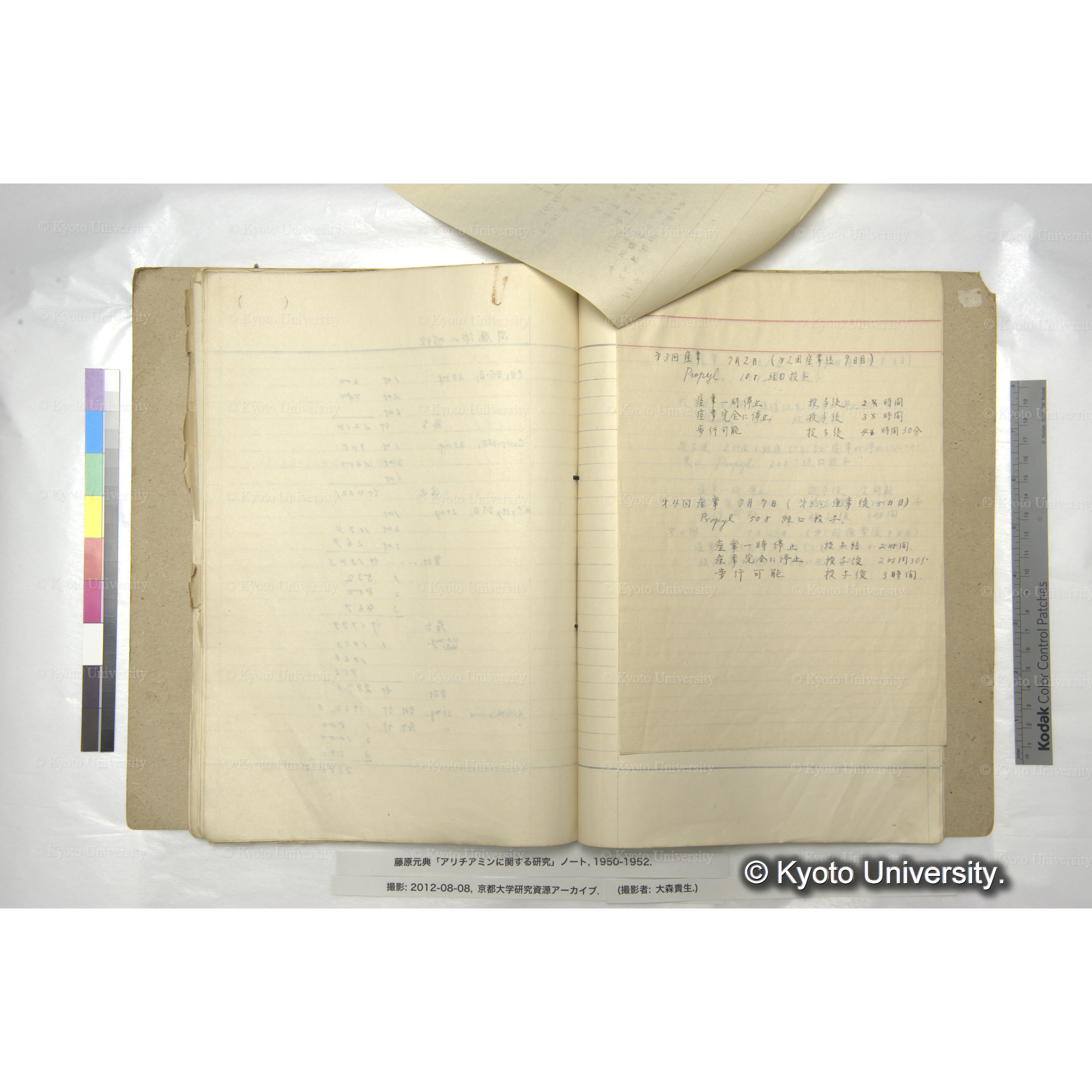 〔動物実験の記録か〕 (2)