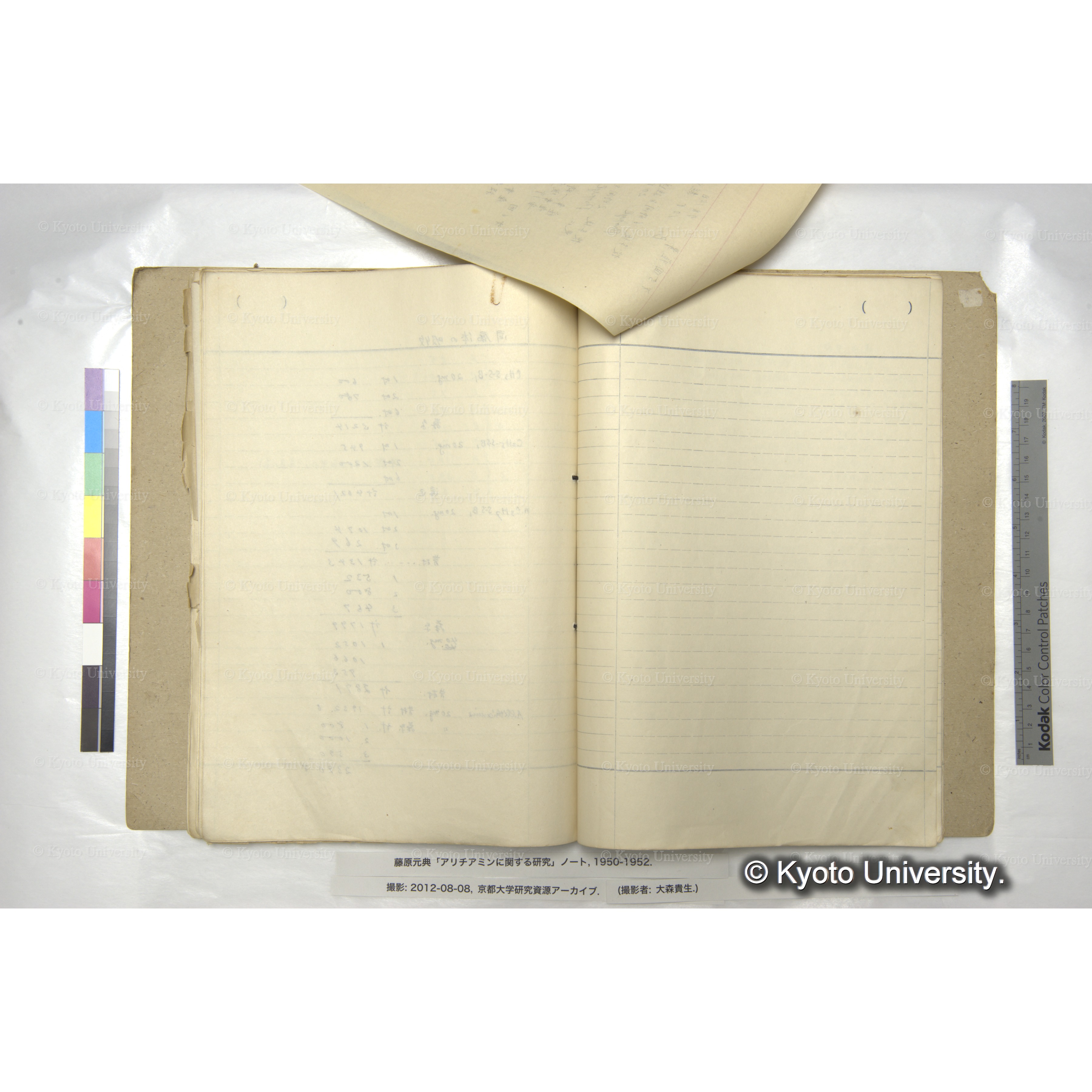 〔動物実験の記録か〕 (4)