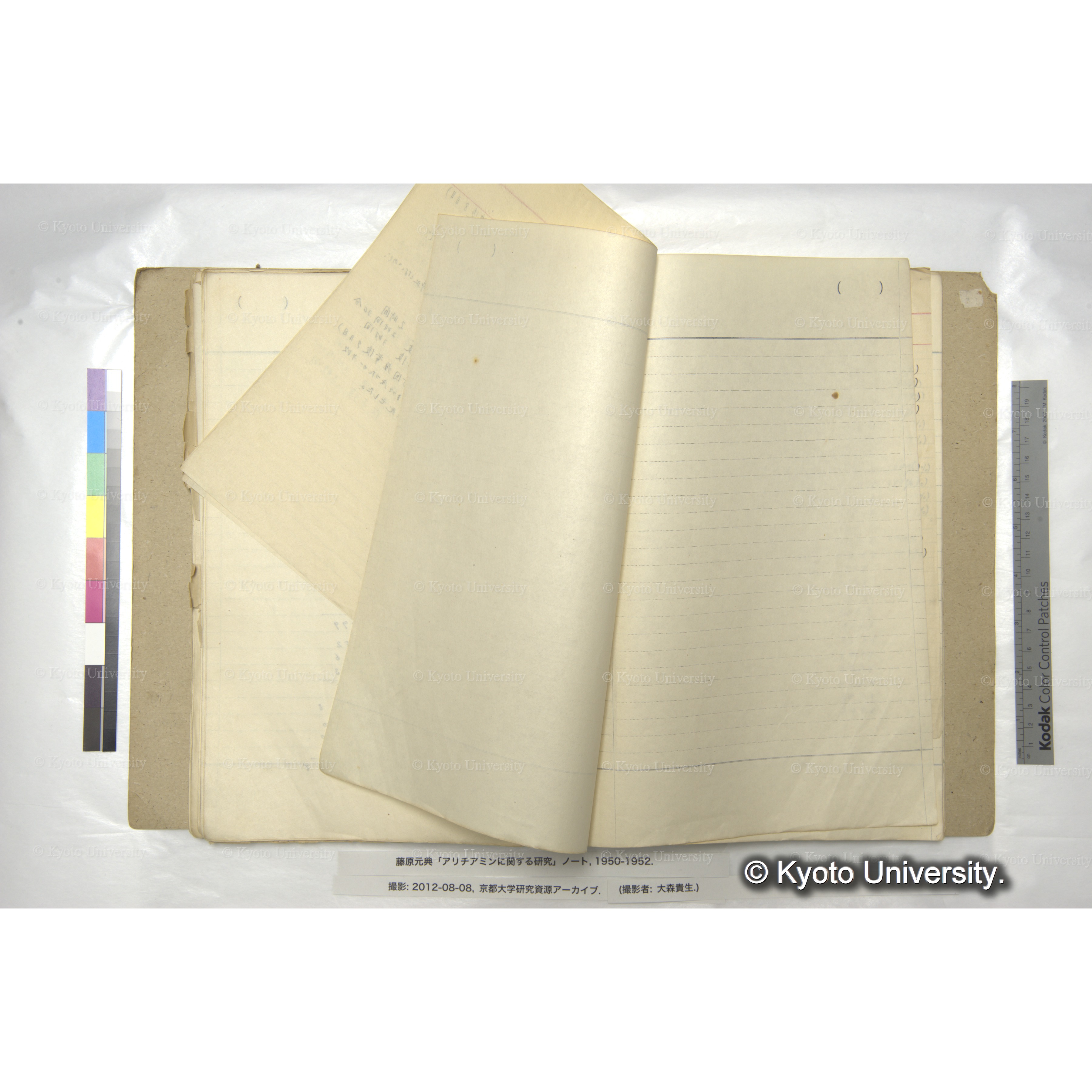 〔動物実験の記録か〕 (5)