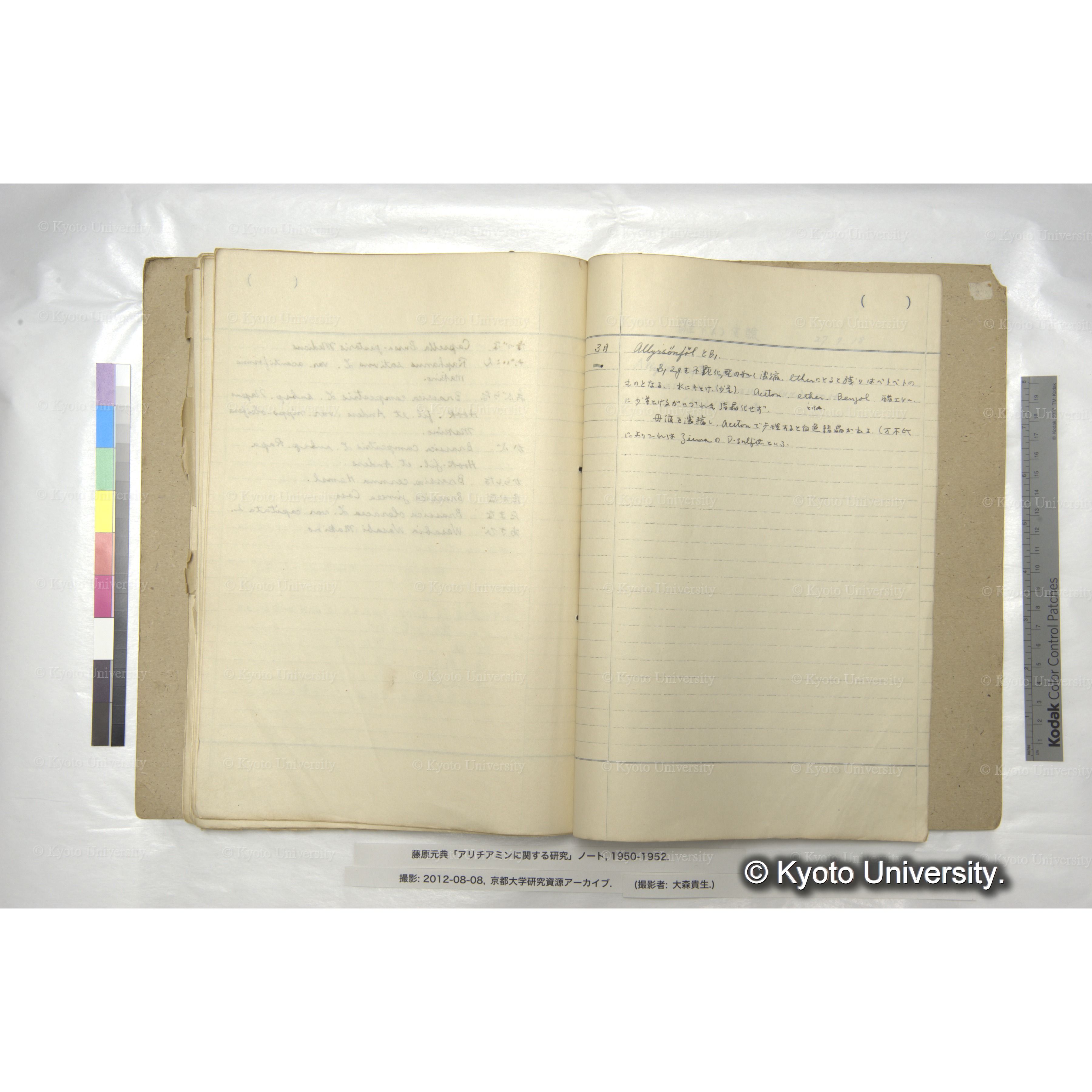 AllyrsönfölとB₁ (1)