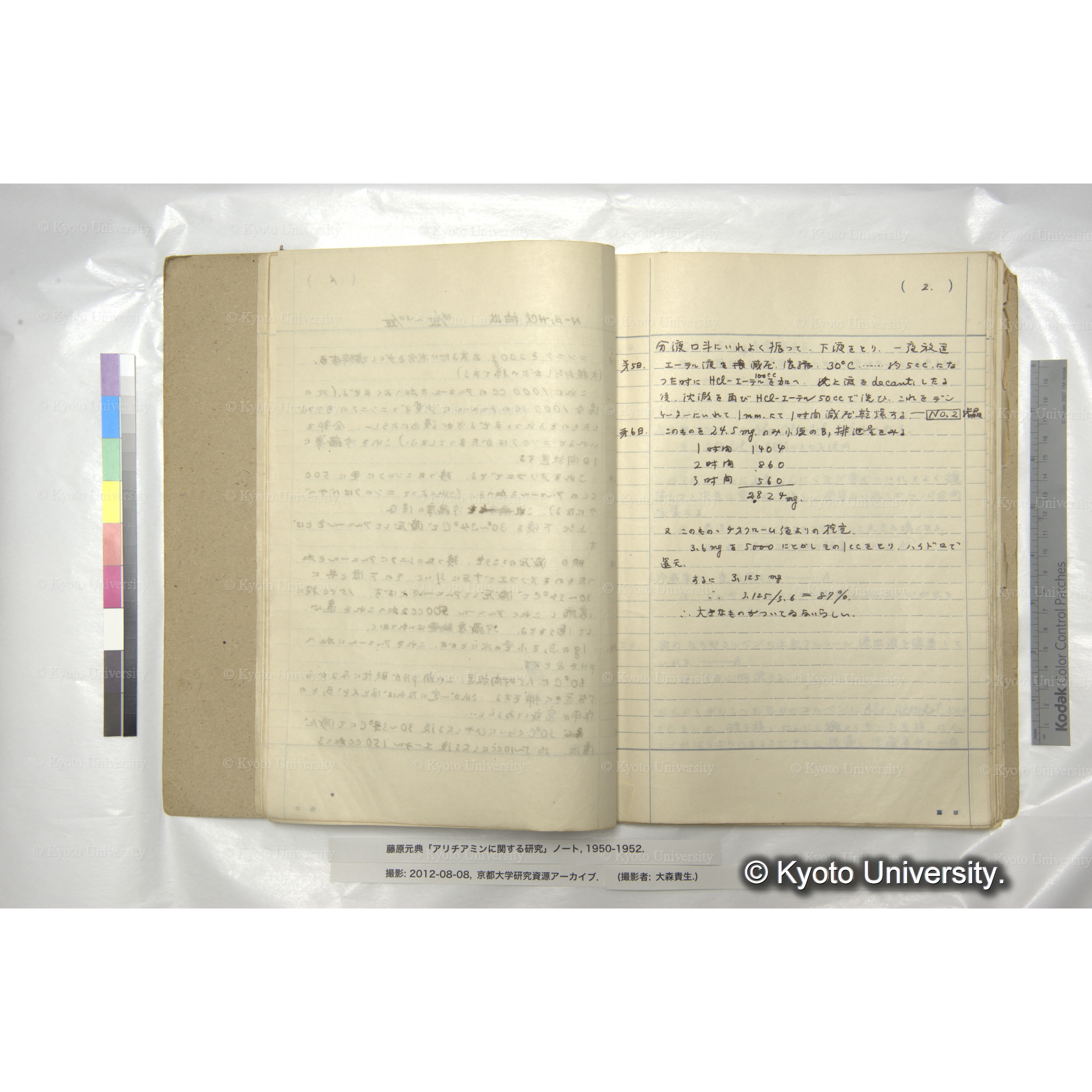 N-B₁-HCl抽出 24/Ⅻ-30/Ⅻ (2)