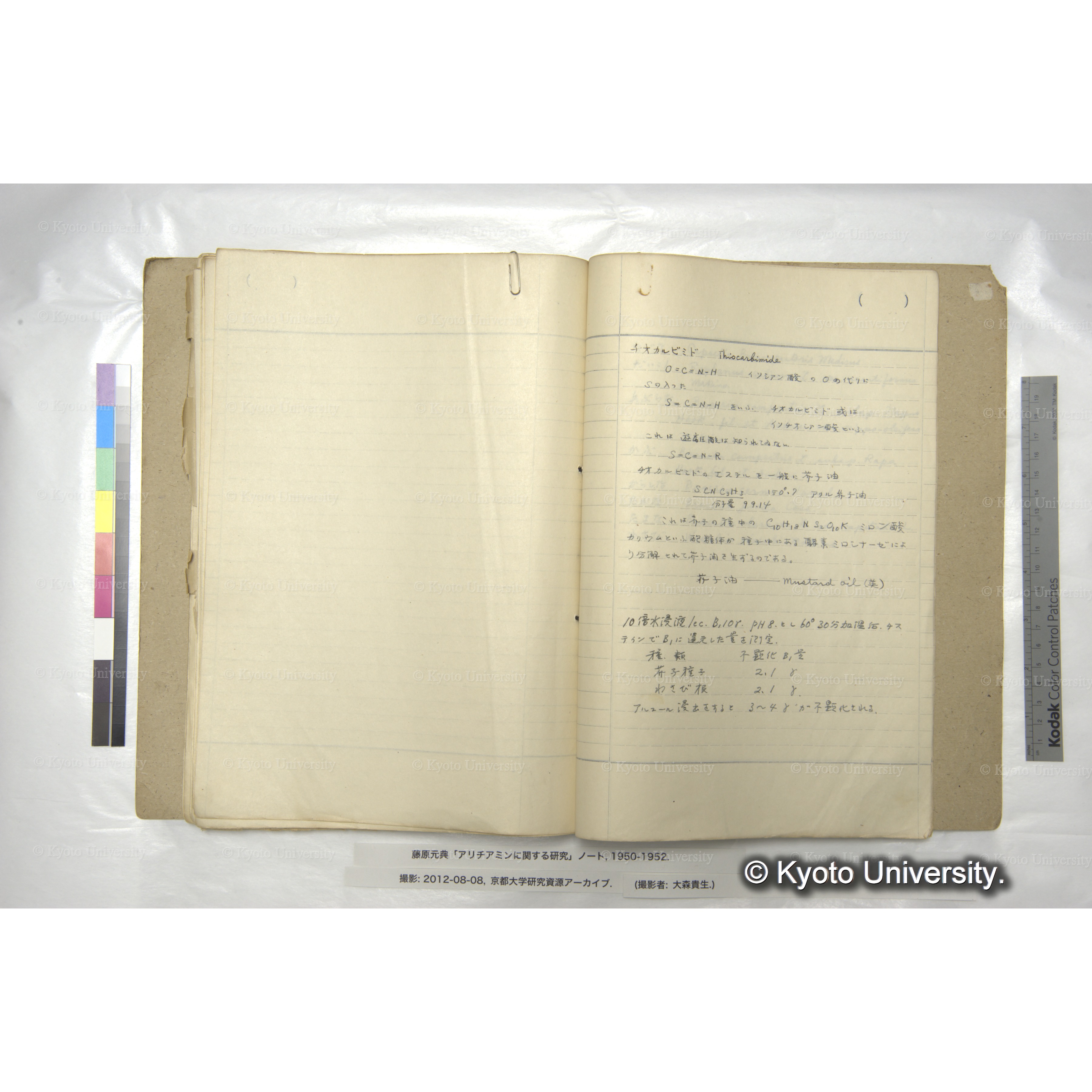 チオカルビミド　Thiocarbimide (1)