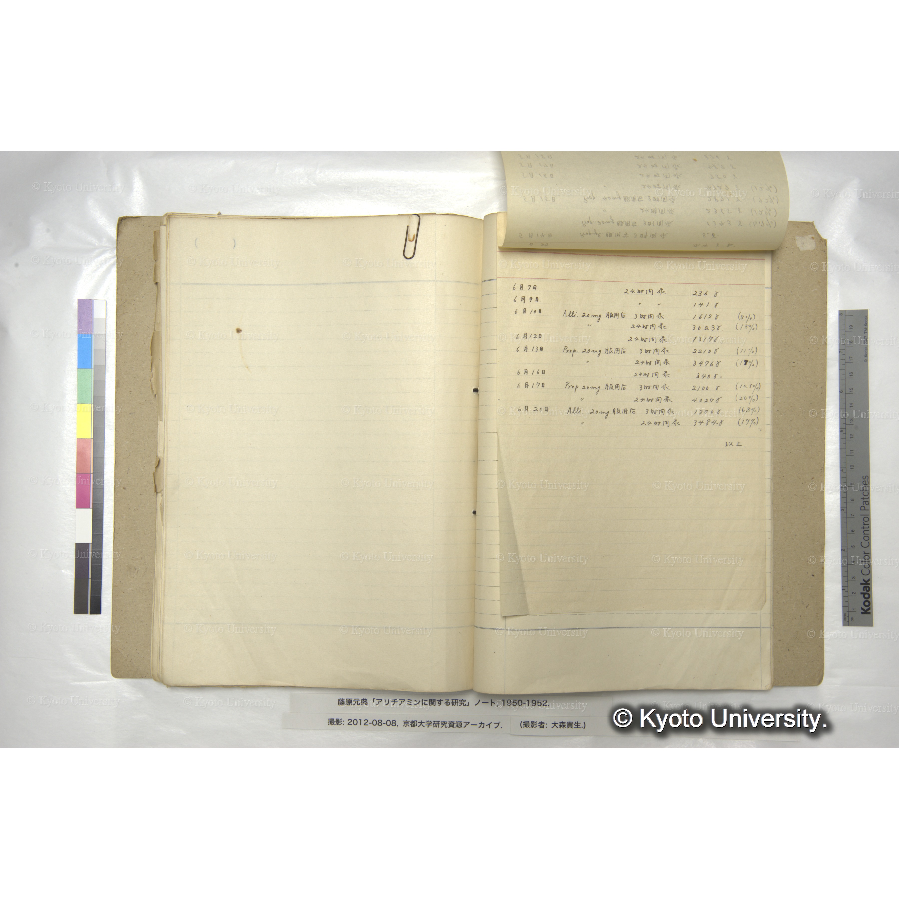 〔服用実験記録〕 (2)