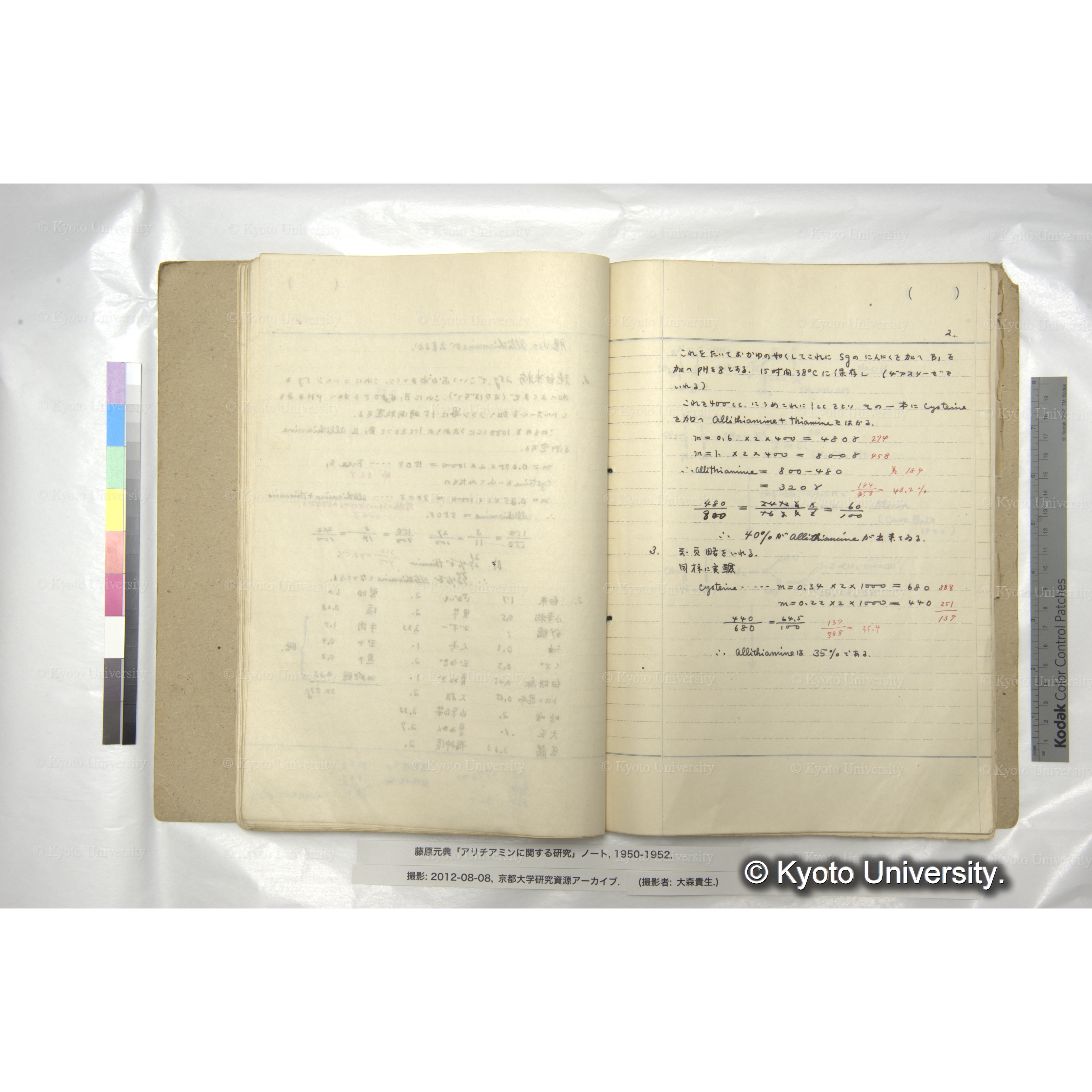 腸内にAllithiamineが出来るか (2)