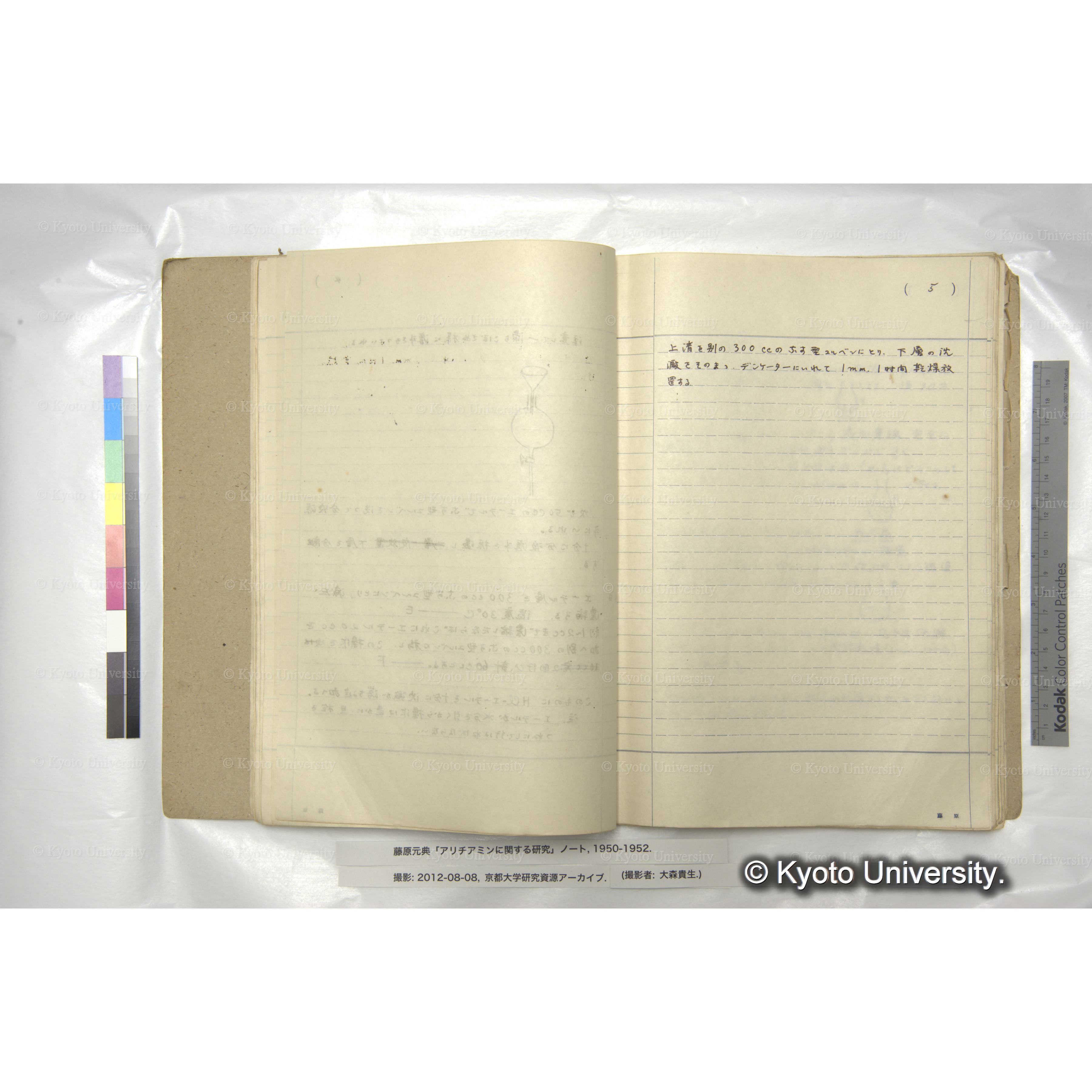 〔N-B₁-HCl抽出　その2〕 (5)