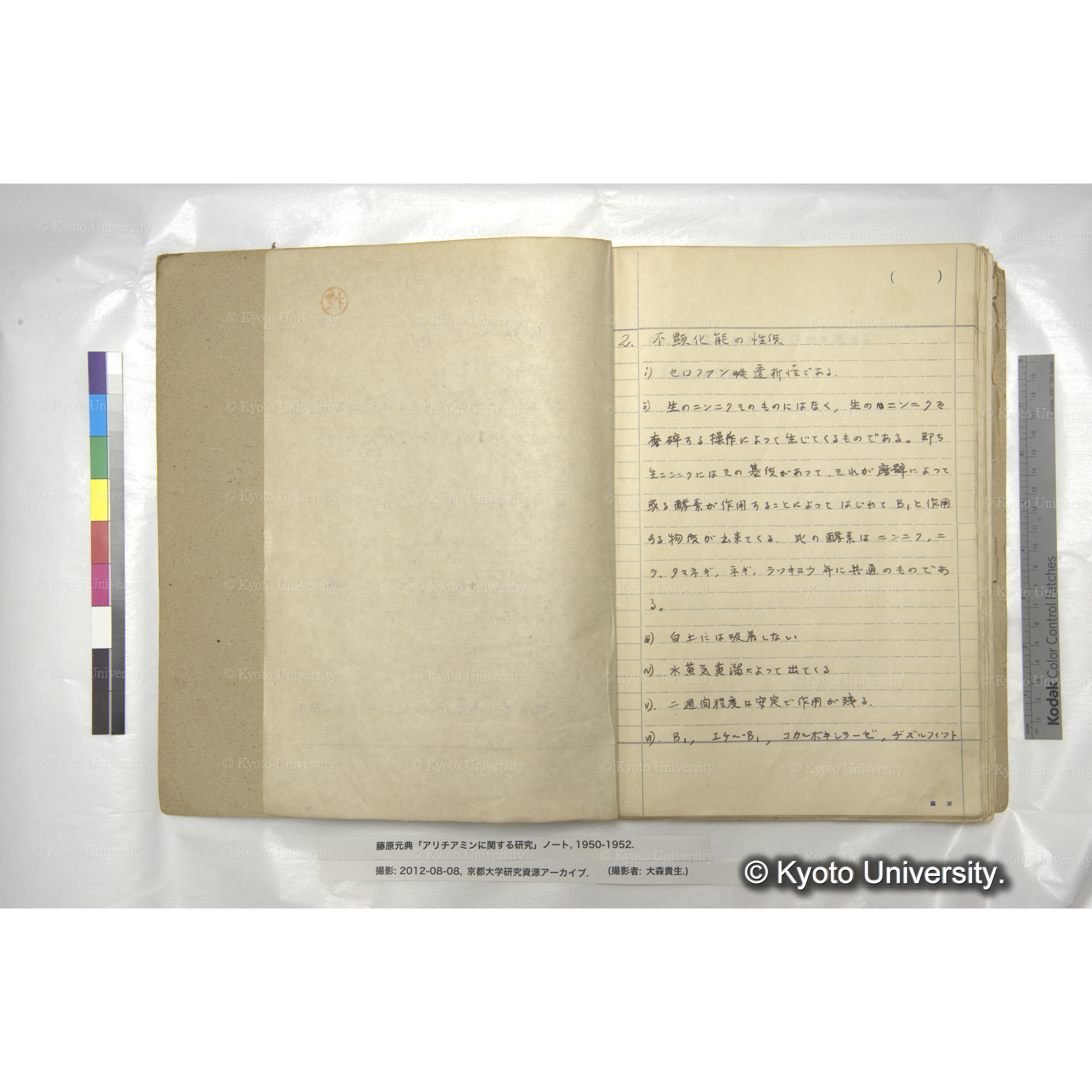 仮称「ニンニク-B₁について」 (2)