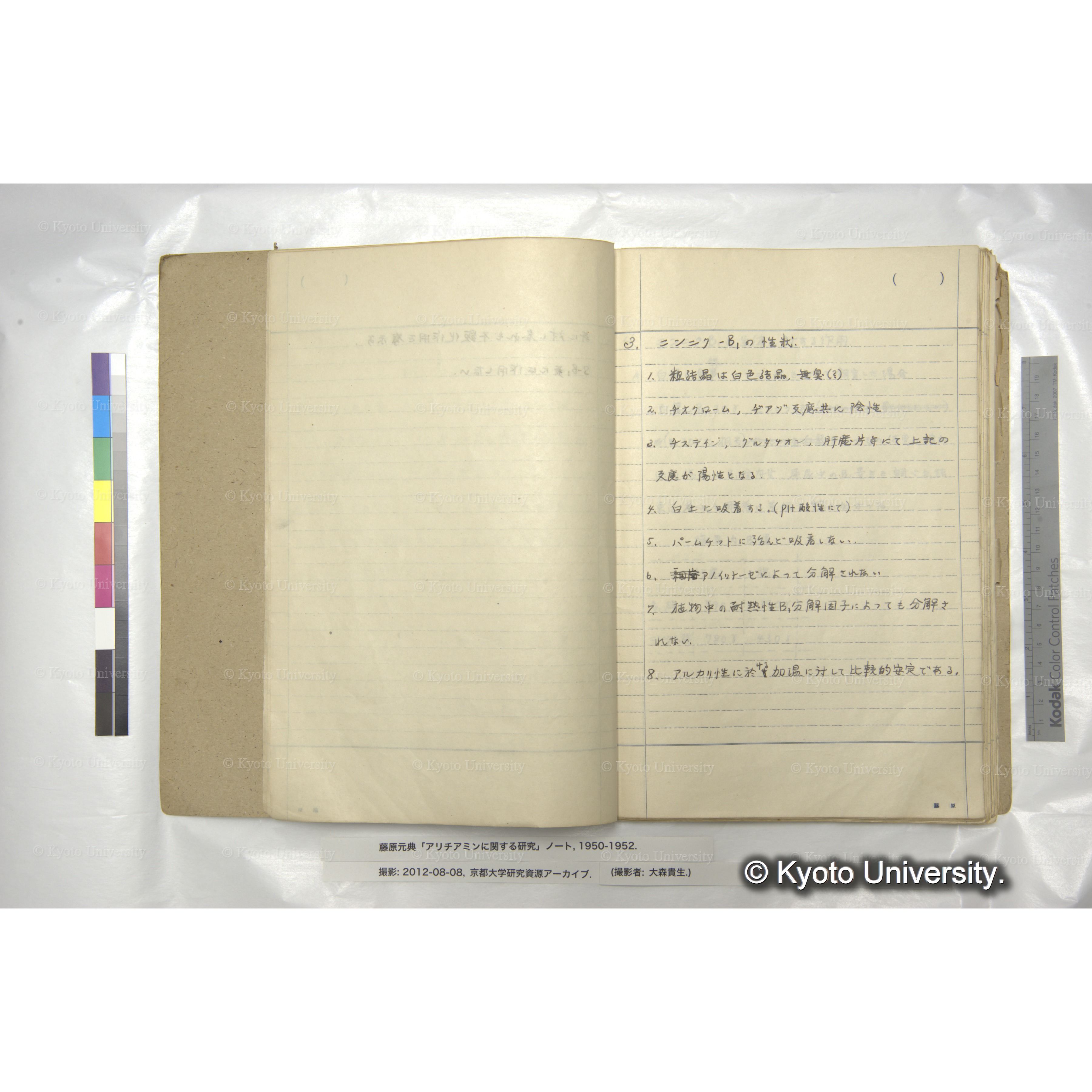 仮称「ニンニク-B₁について」 (4)