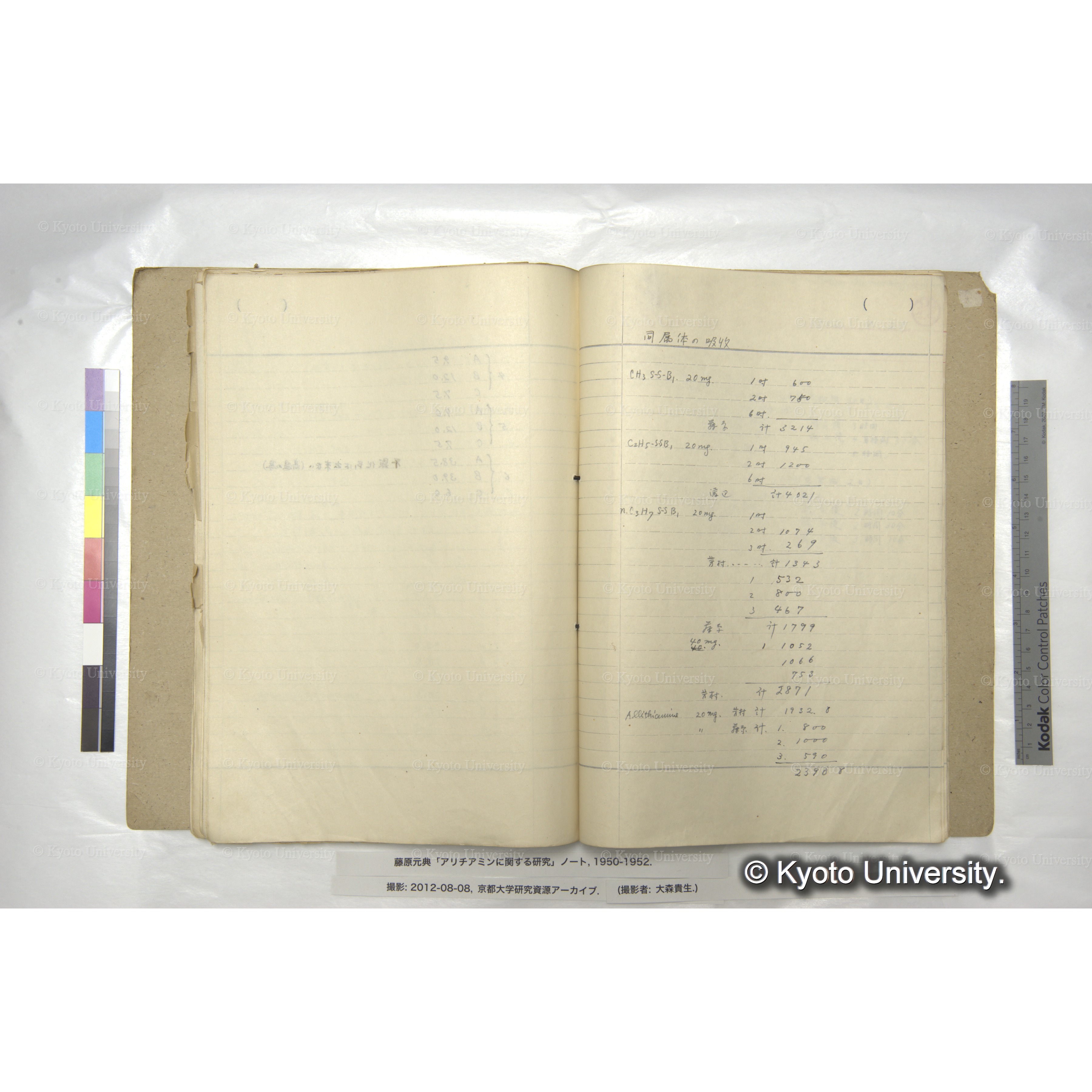 同属体の吸収 (1)