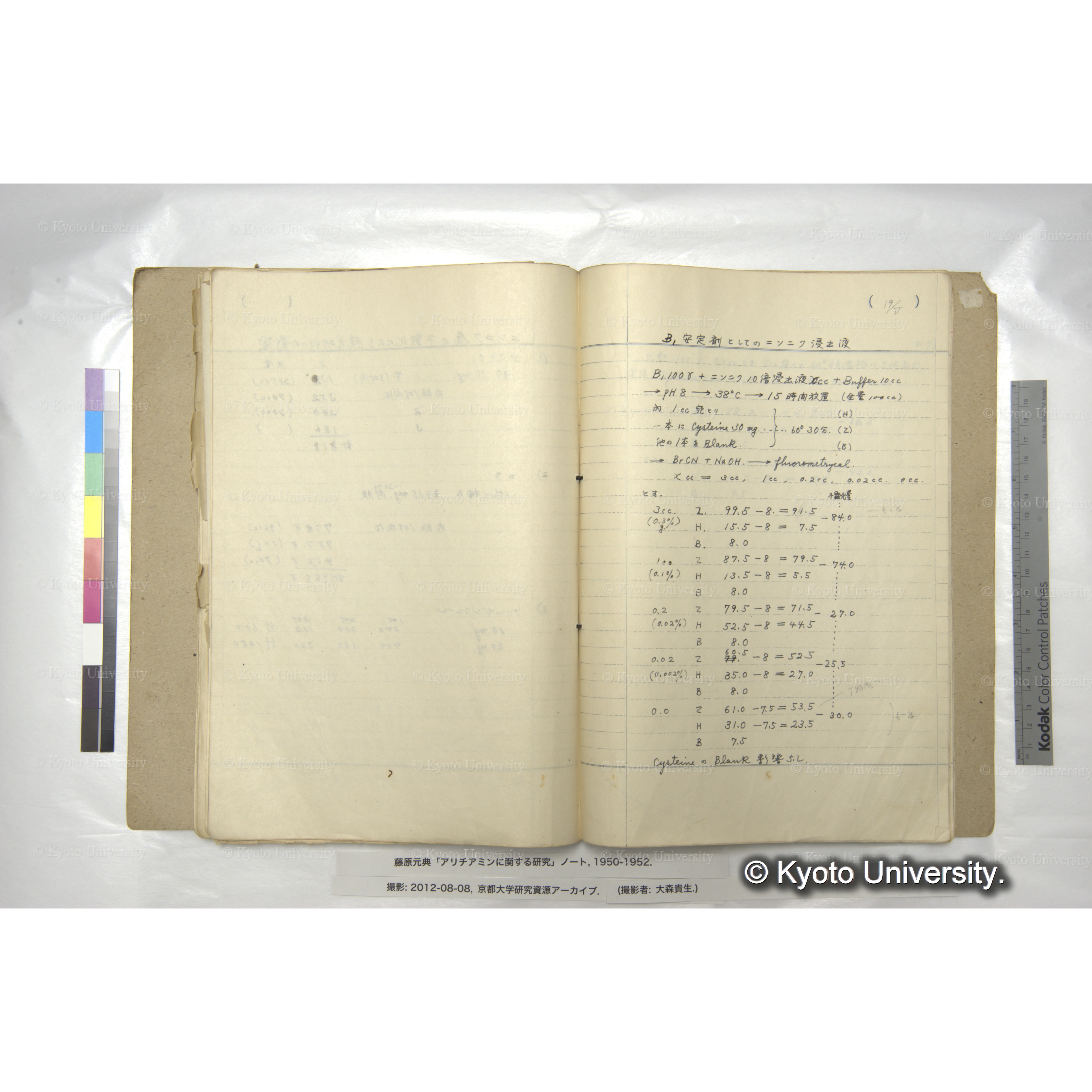 B₁安定剤としてのニンニク浸出液 (1)