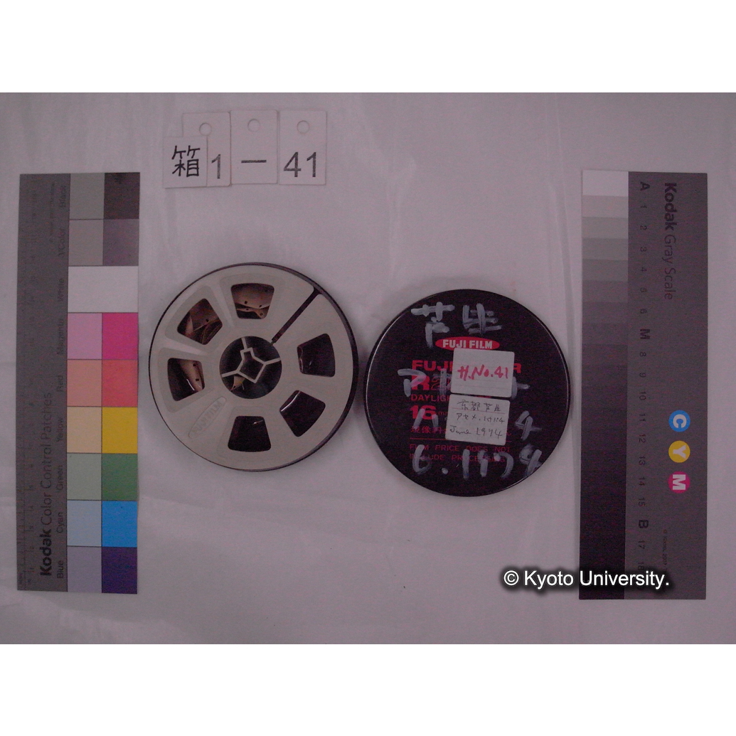 [16mm映画フィルム] 「H.No.41」芦生 アヤメ ハナバチ 6. 1974 [山道を歩く人物] (2)