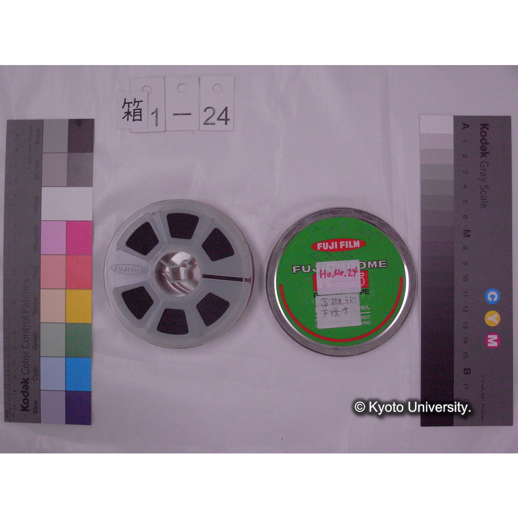 [16mm映画フィルム] 「Ho.No.24」ウドノ1977 火入れ [高槻鵜殿葦焼き.] (2)