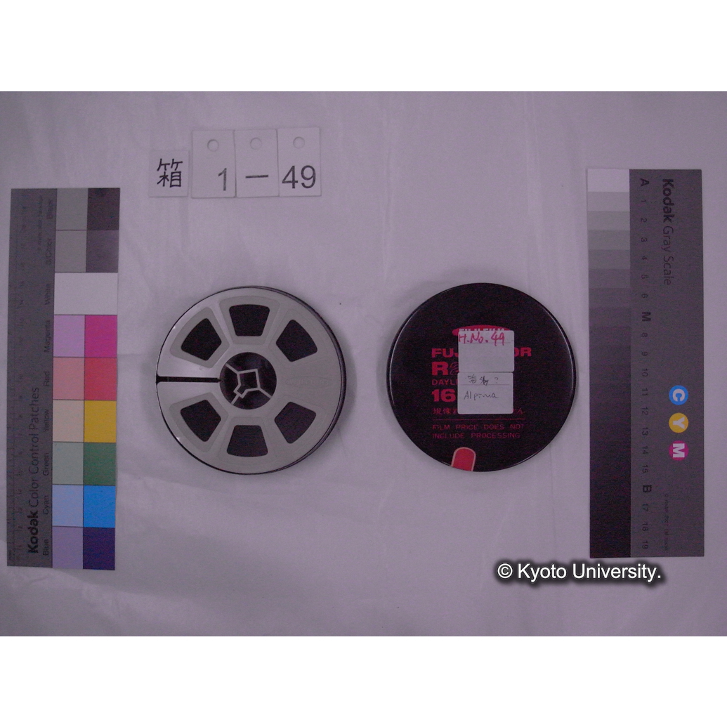 [16mm映画フィルム] 「H.No.49」「海外？／Alpinia」[国内ヵ, 訪花昆虫, 木々と鳥ほか.] (2)