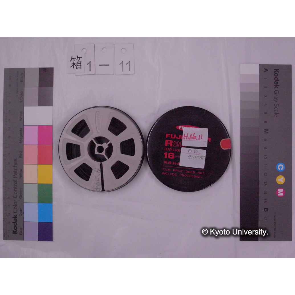 [16mm映画フィルム] 「H.No.11」タンポポ [高槻, タンポポ果実.] (2)