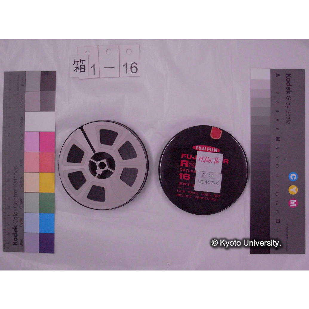 [16mm映画フィルム] 「H.No.16」「日本 植物など」 [京都芦生.] (2)