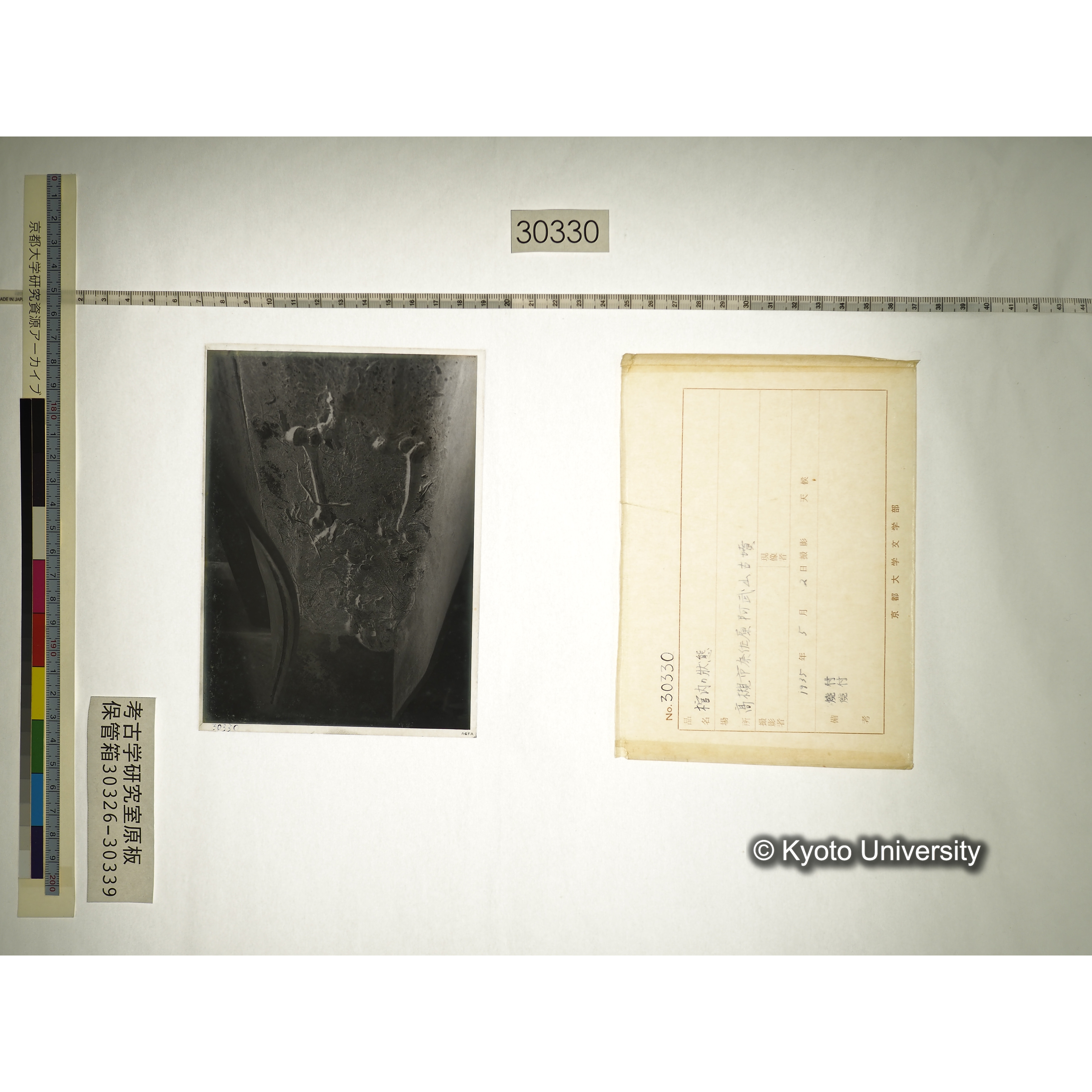 [乾板] 棺内の状態 (1)