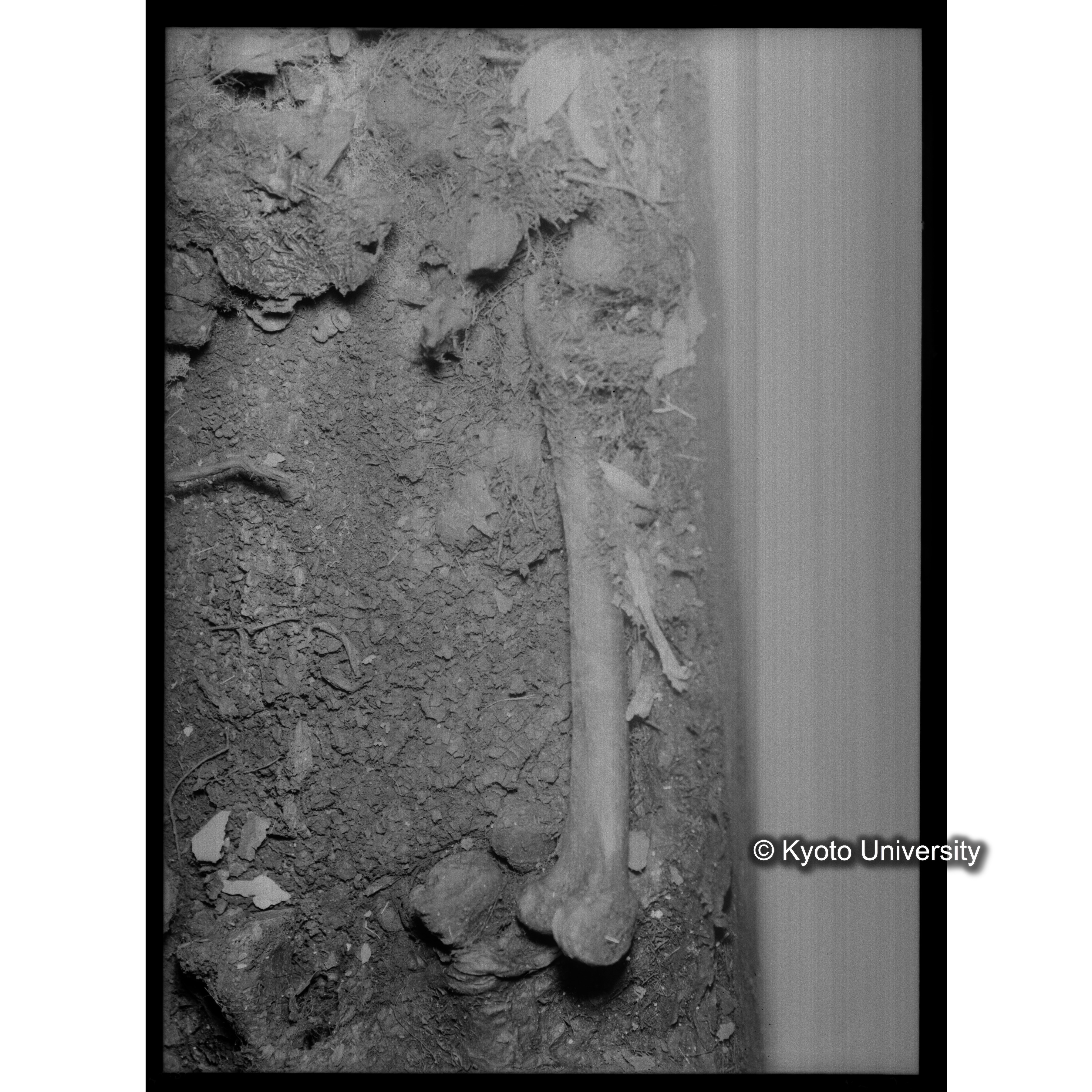 [写真内容] 棺内の状態　脚部より頭部をみる (1)