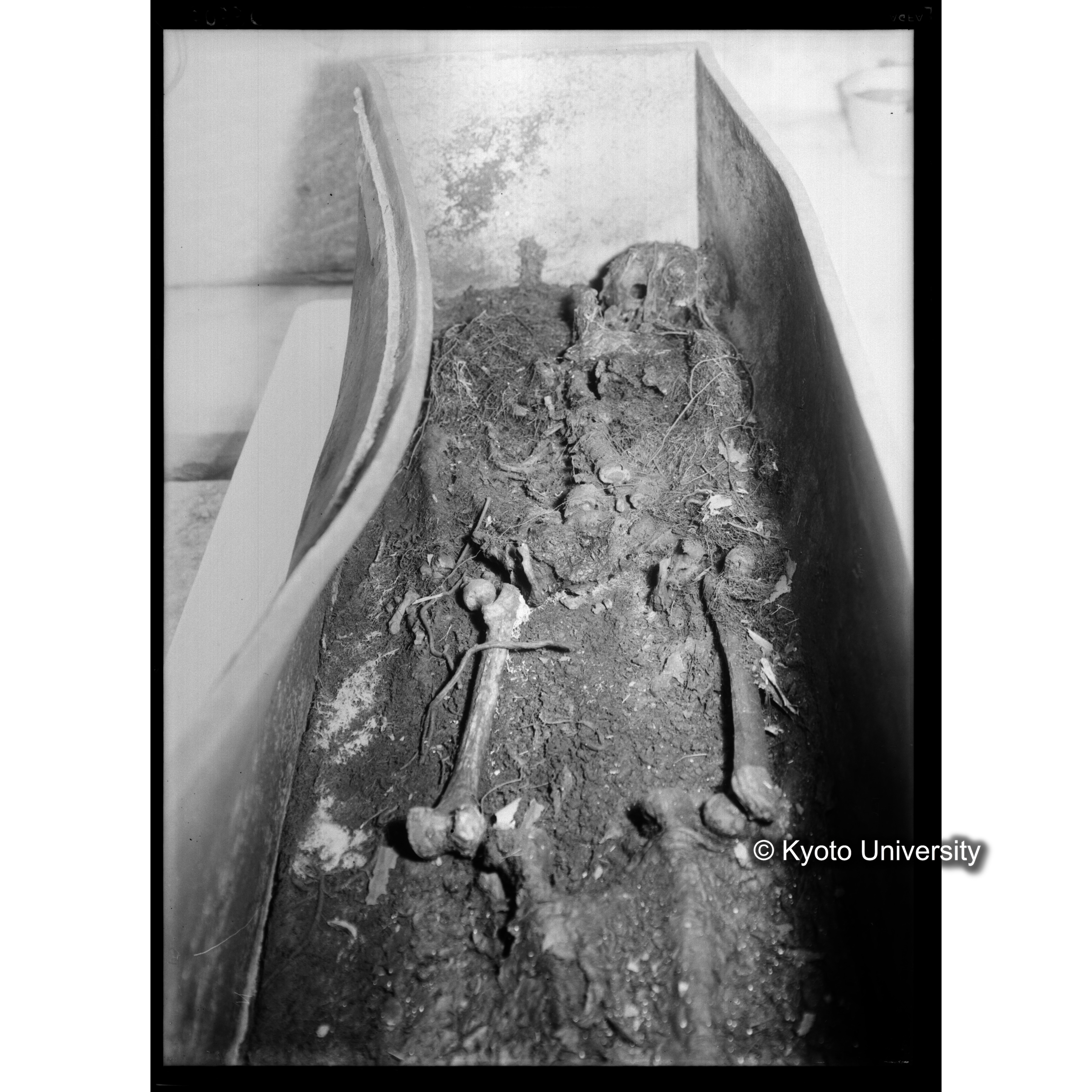 [写真内容] 棺内の状態 (1)