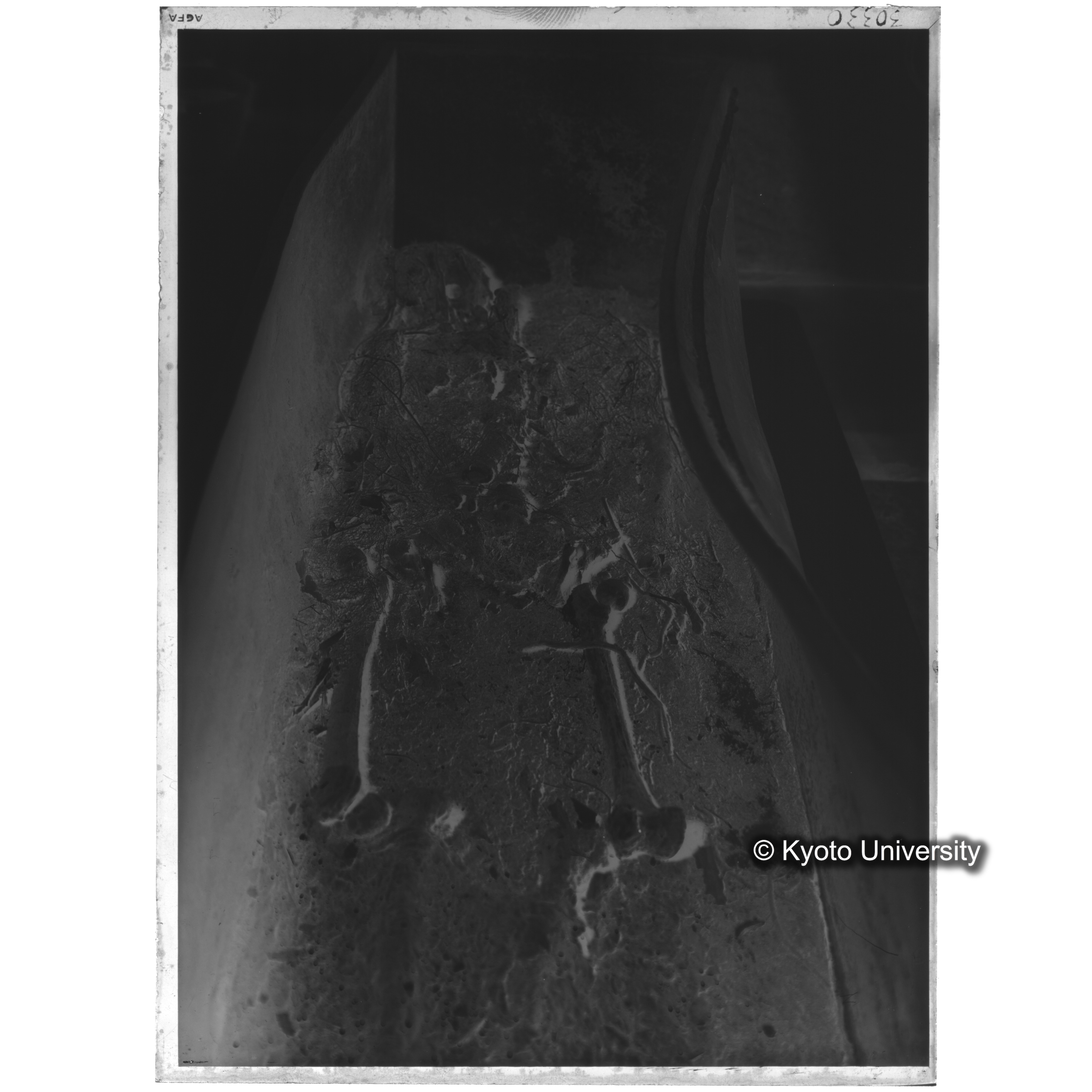 [写真内容] 棺内の状態 (2)