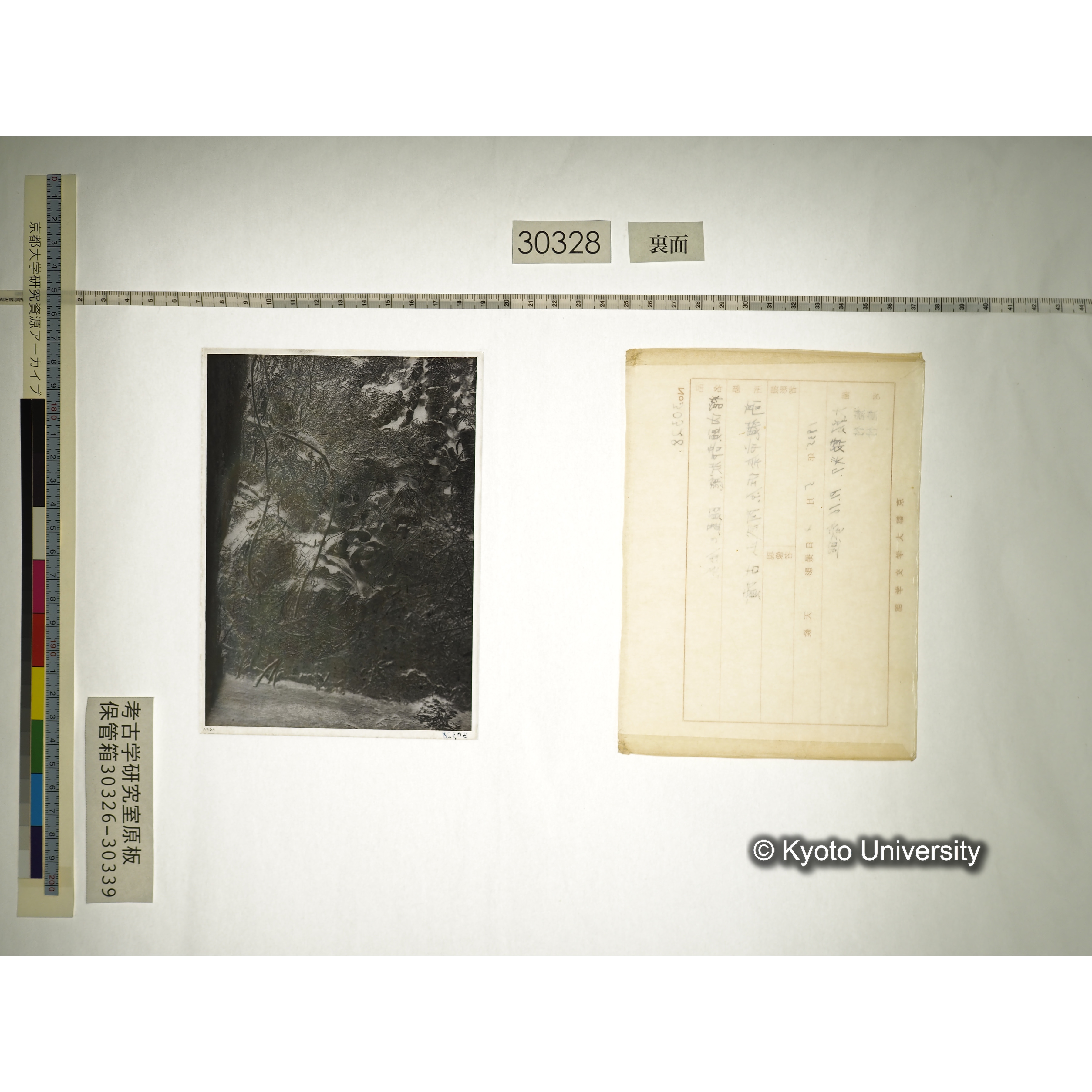 [乾板] 棺内頭部状態　頭蓋と金糸 (2)