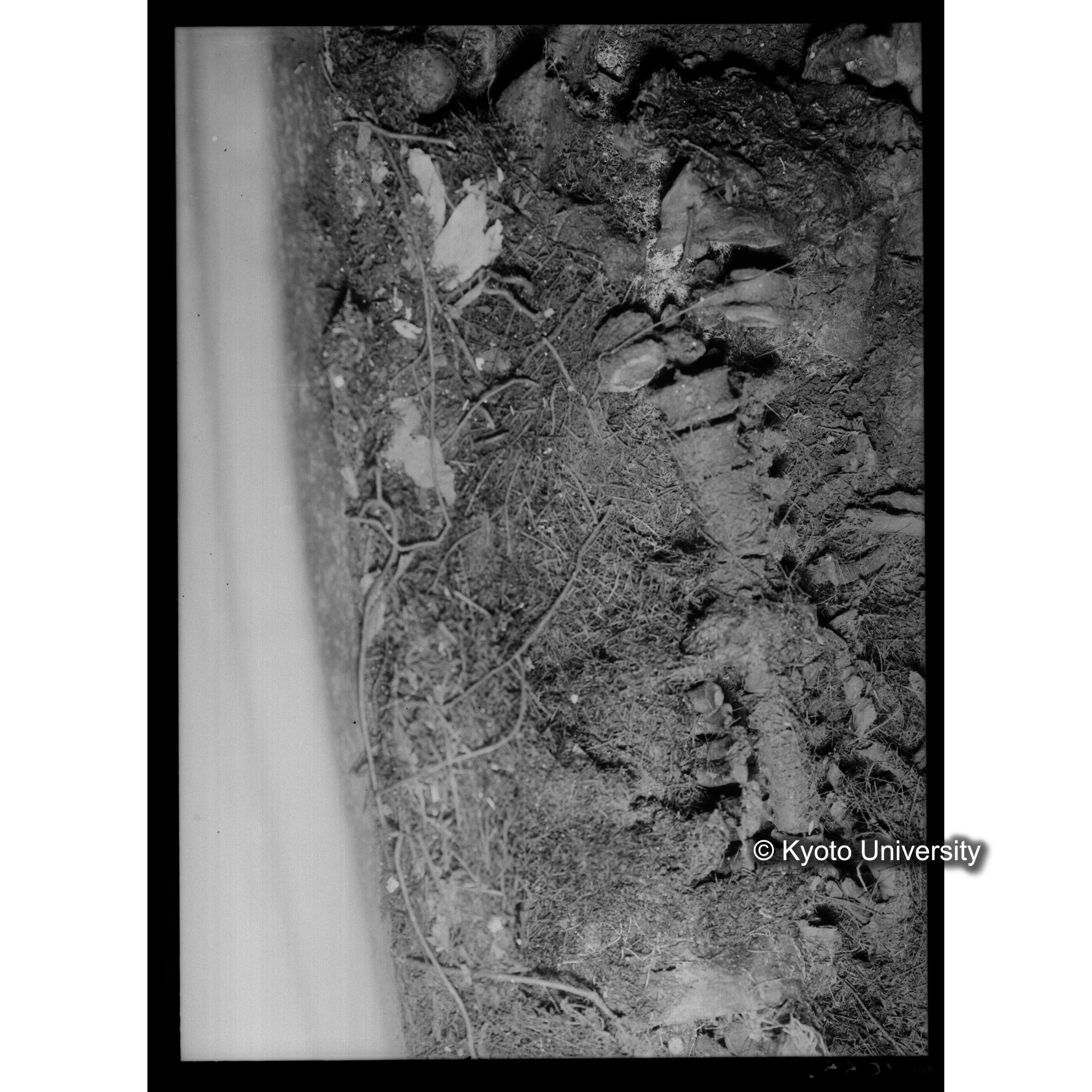 [写真内容] 棺内遺骸出土状況 (1)