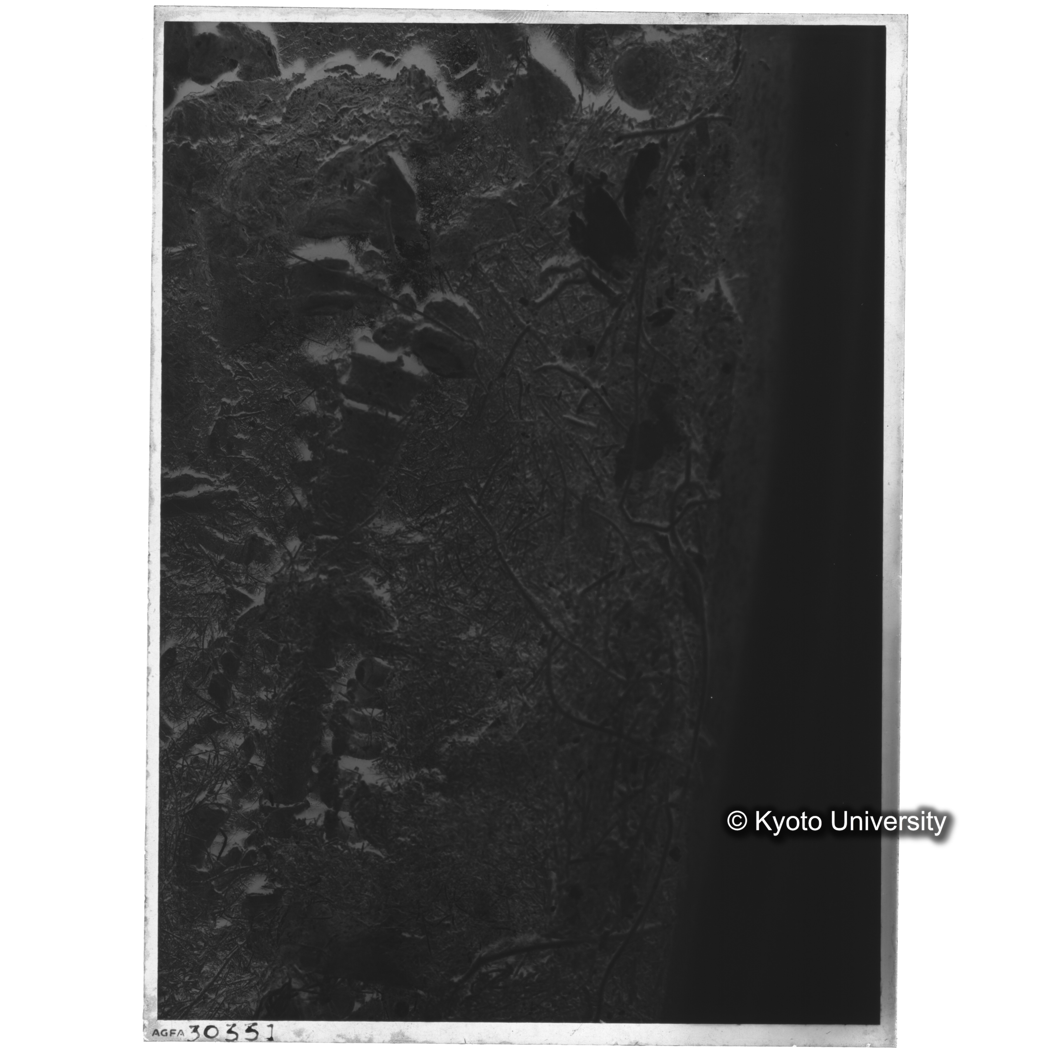 [写真内容] 棺内遺骸出土状況 (2)