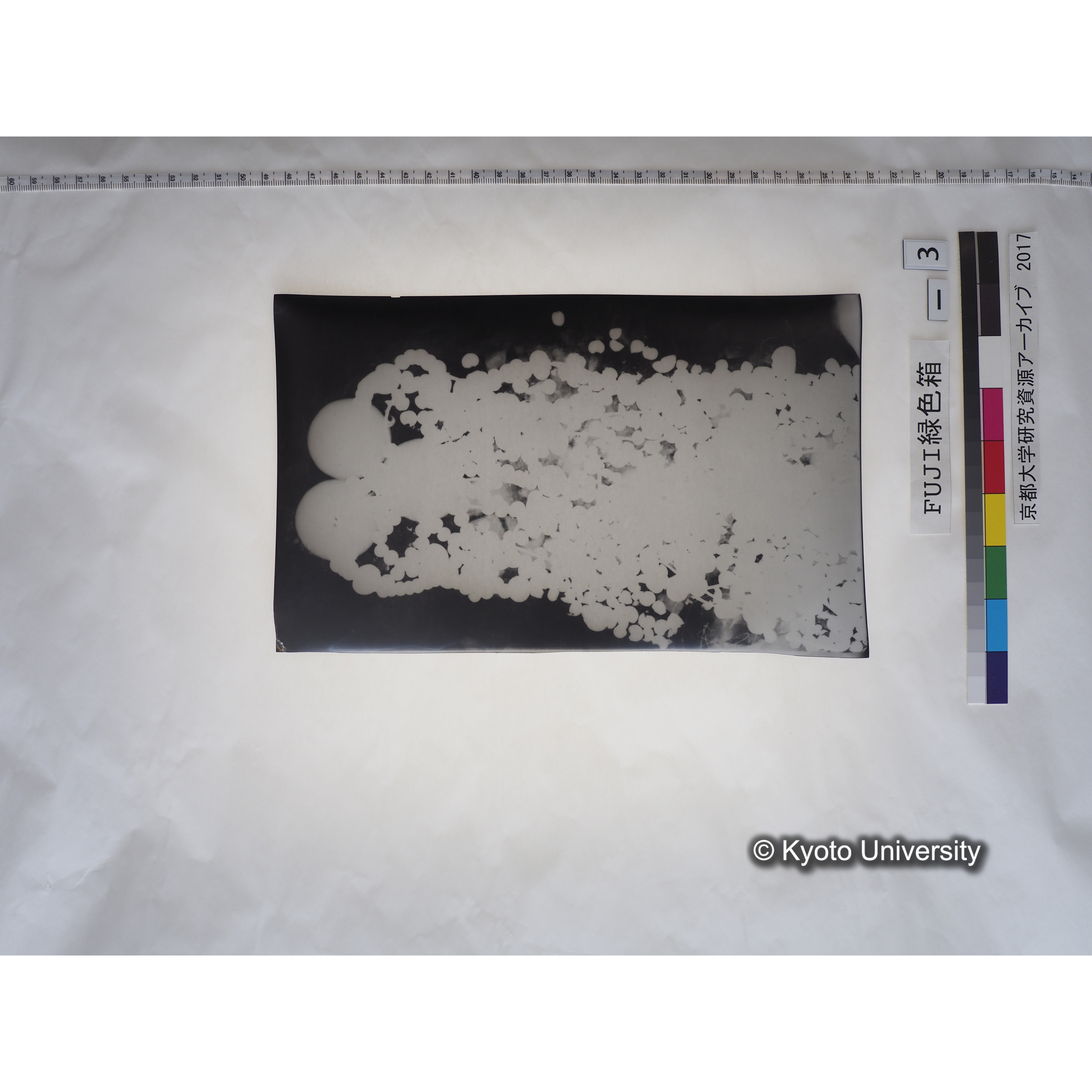 [フィルム] 玉枕レントゲン１ (1)