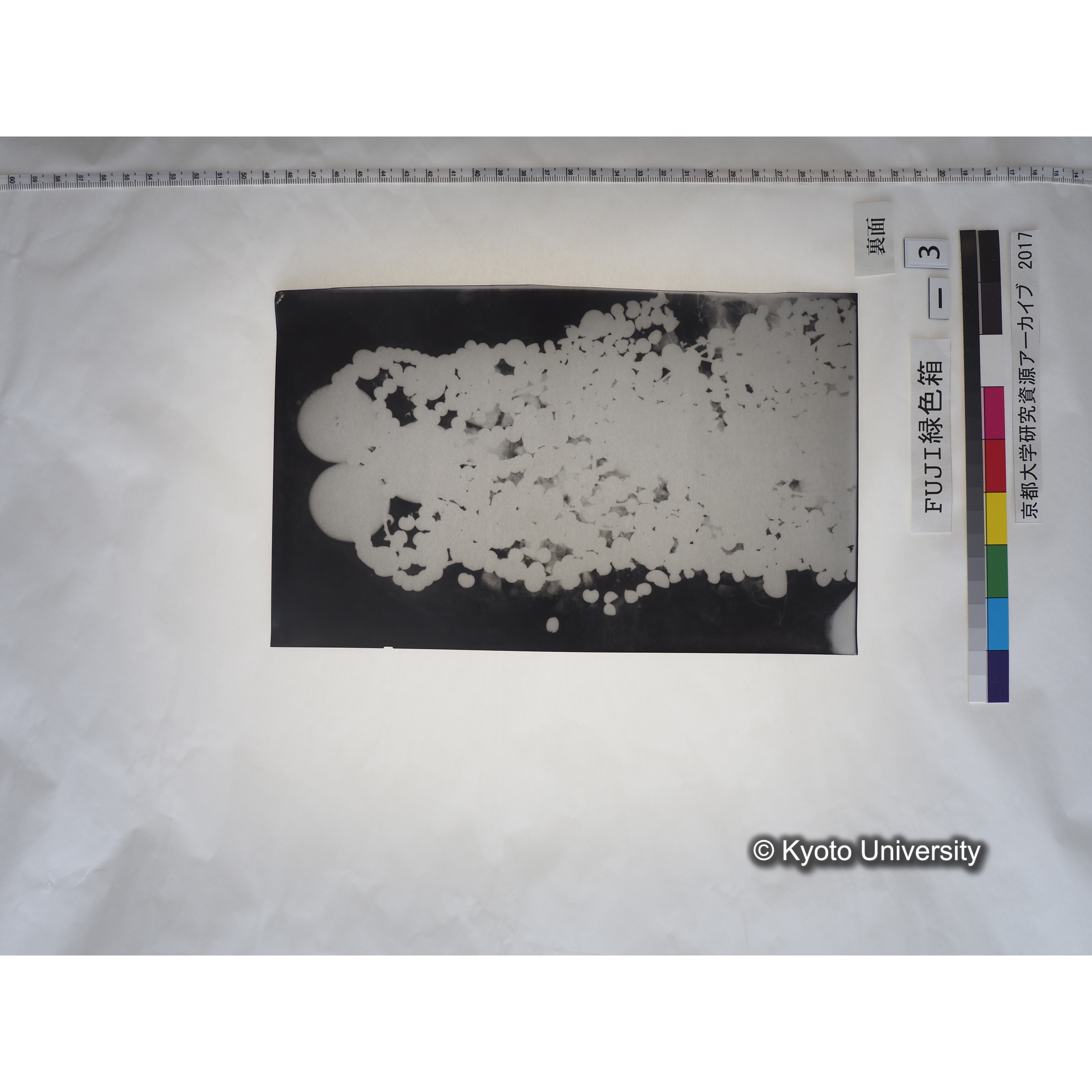 [フィルム] 玉枕レントゲン１ (2)