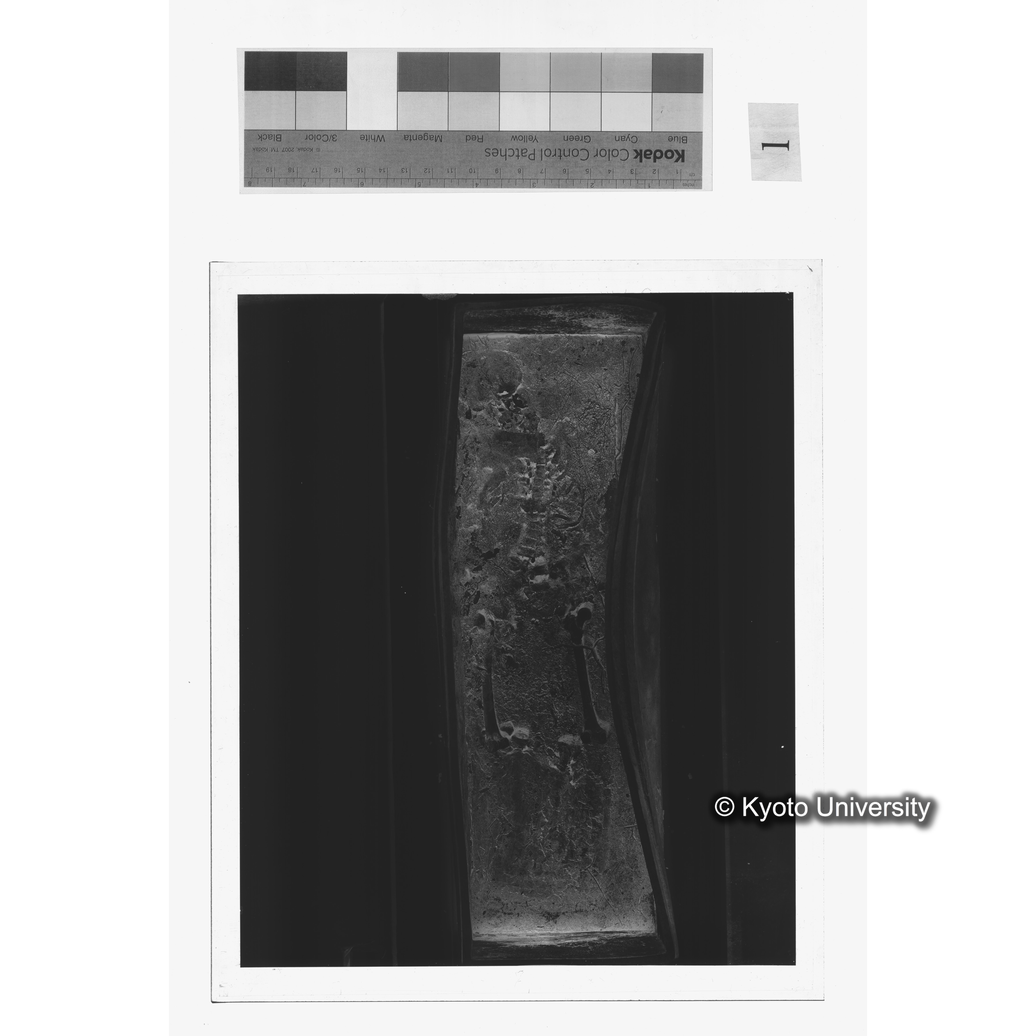 [写真内容] 夾紵棺身（棺内被葬者実体）１ (1)