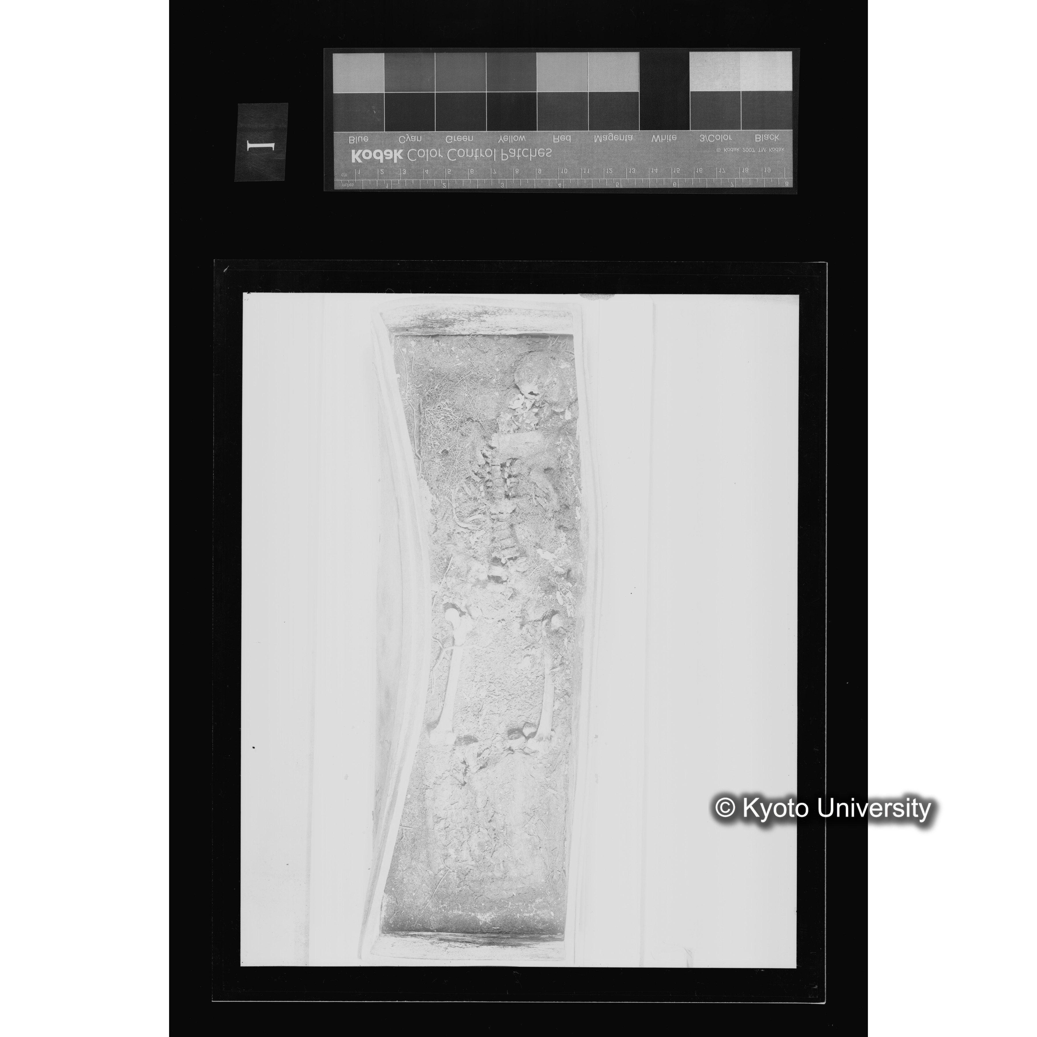 [写真内容] 夾紵棺身（棺内被葬者実体）１ (2)