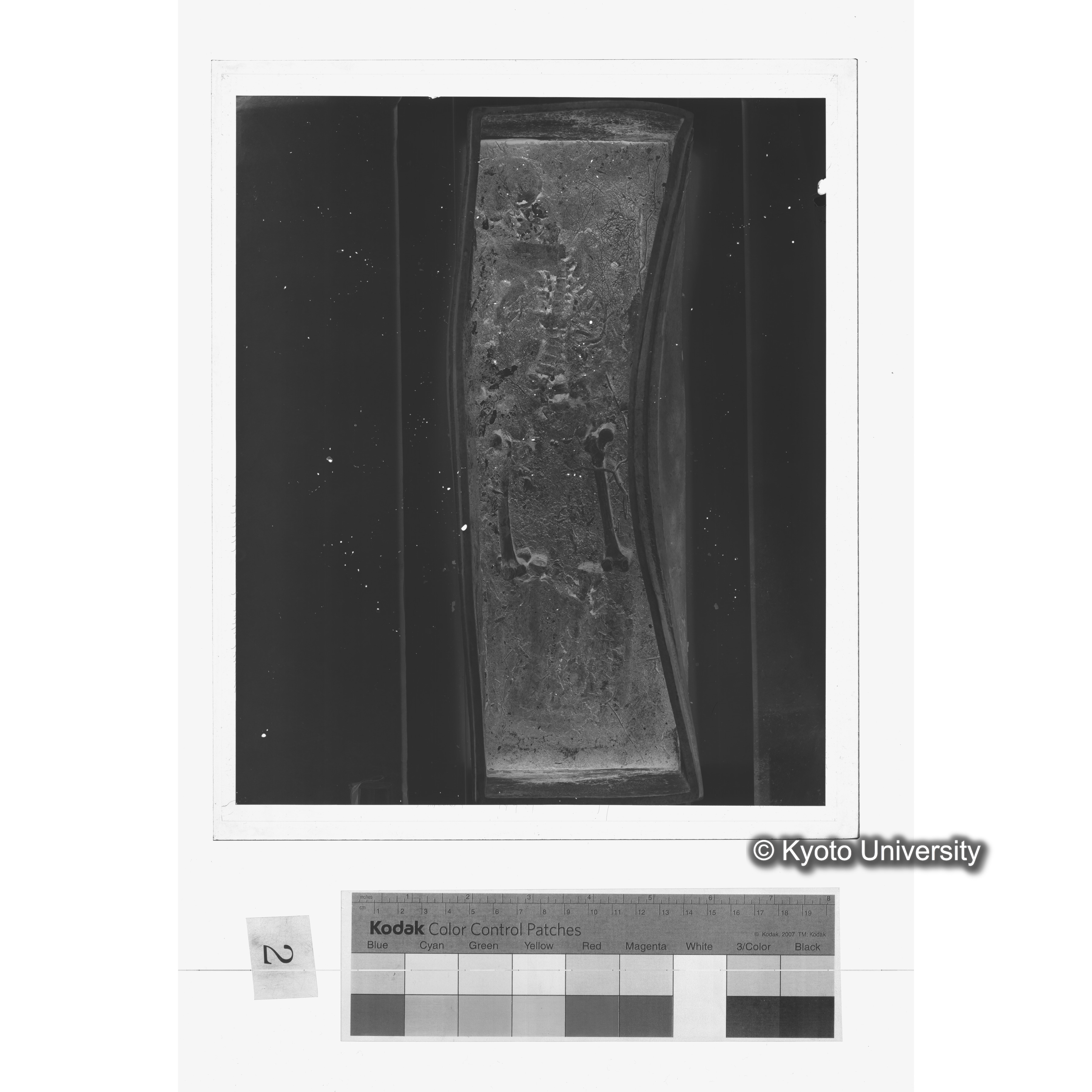 [写真内容] 夾紵棺身（棺内被葬者実体）２ (1)