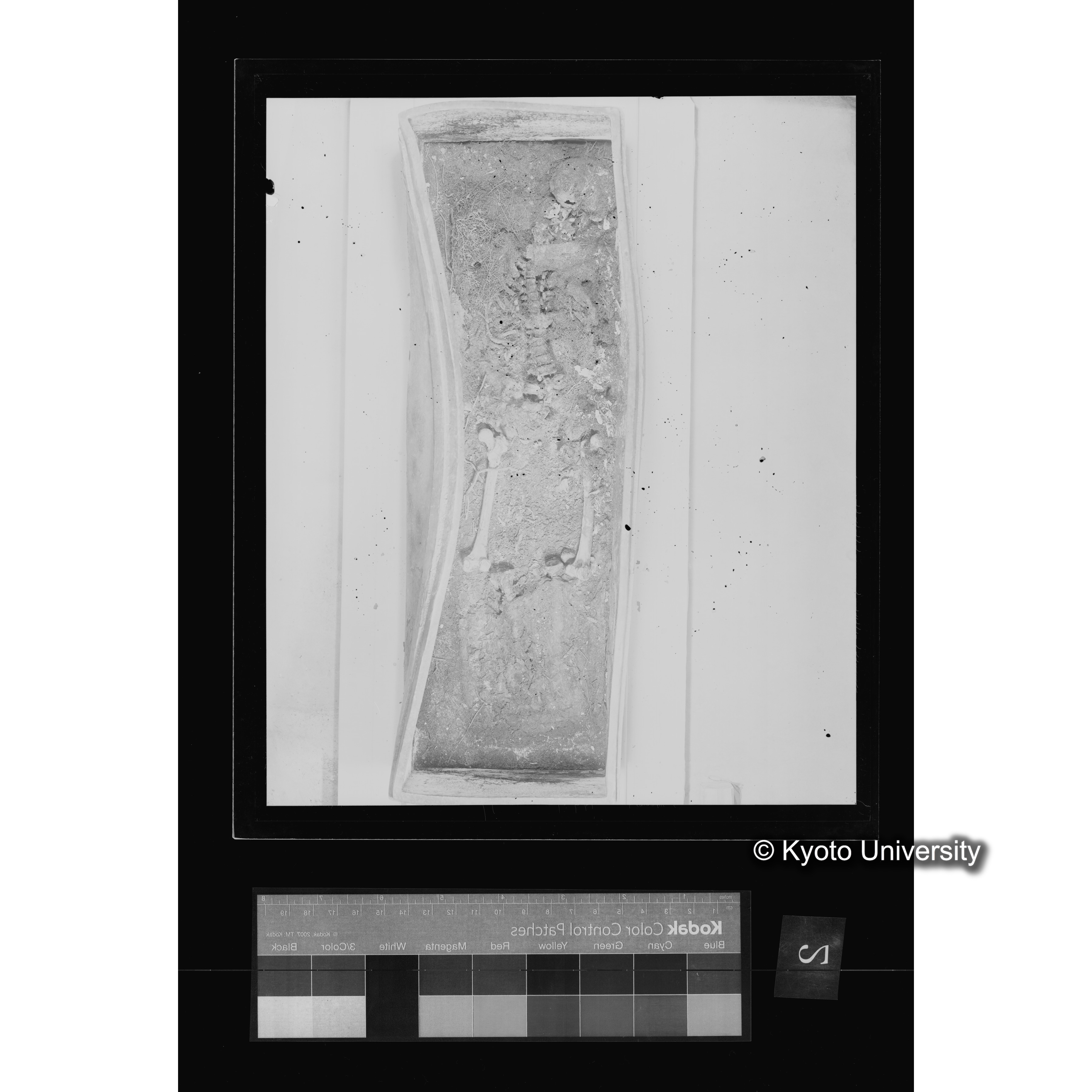 [写真内容] 夾紵棺身（棺内被葬者実体）２ (2)