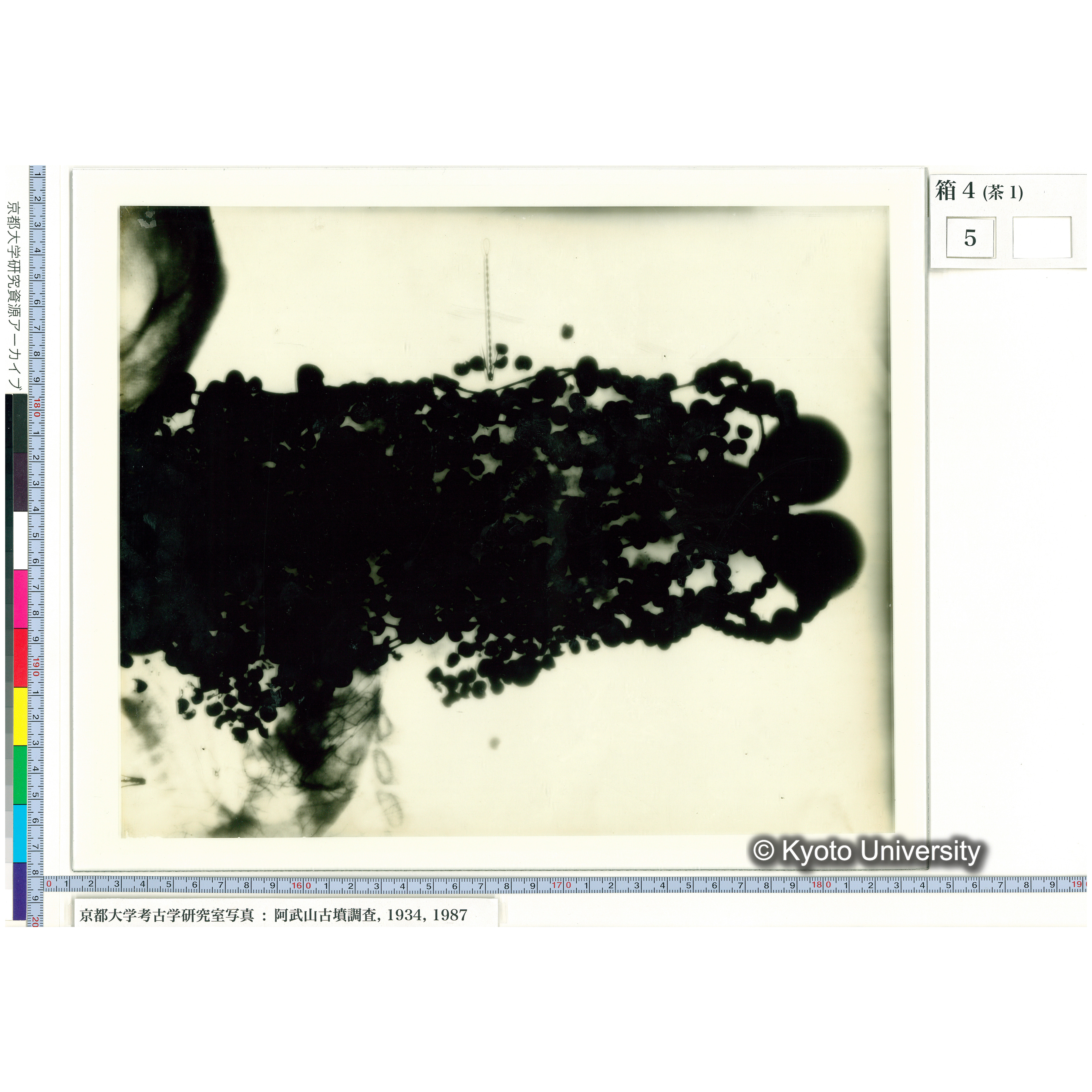 [乾板] 玉枕レントゲン４ (1)