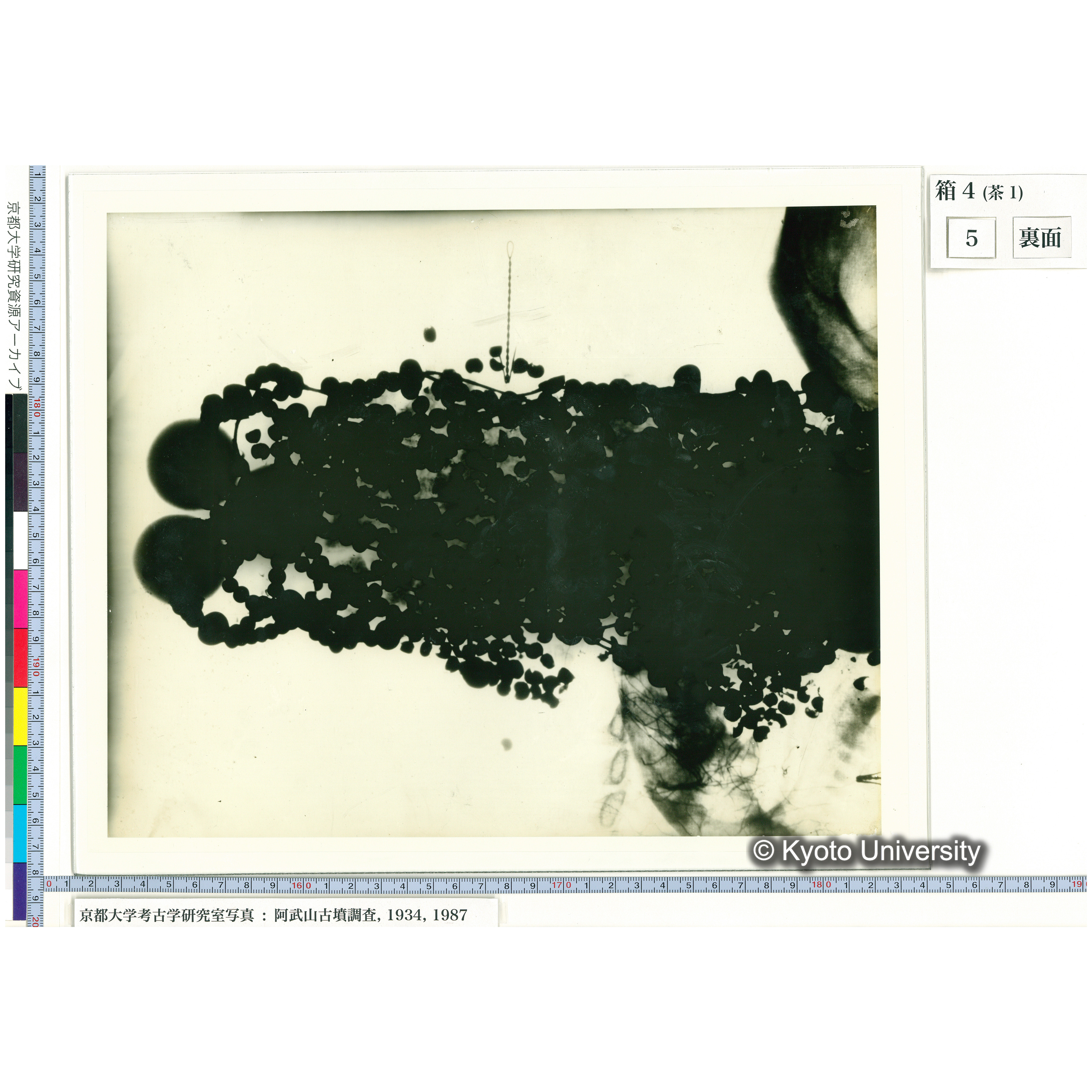 [乾板] 玉枕レントゲン４ (2)