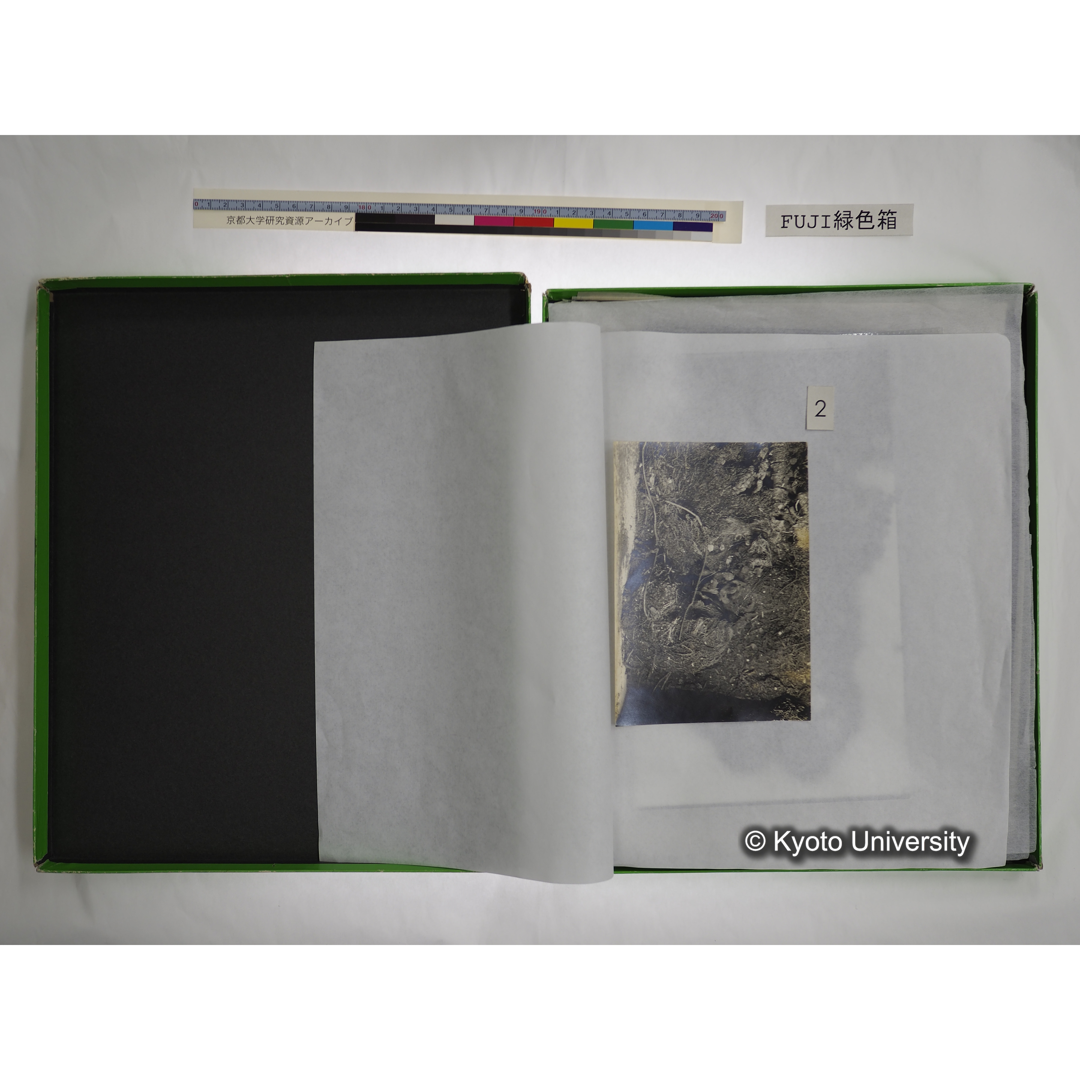 [FUJI PHOTO FILM 緑色箱] 阿武山古墳遺体 レントゲン写真 No.3 (8)