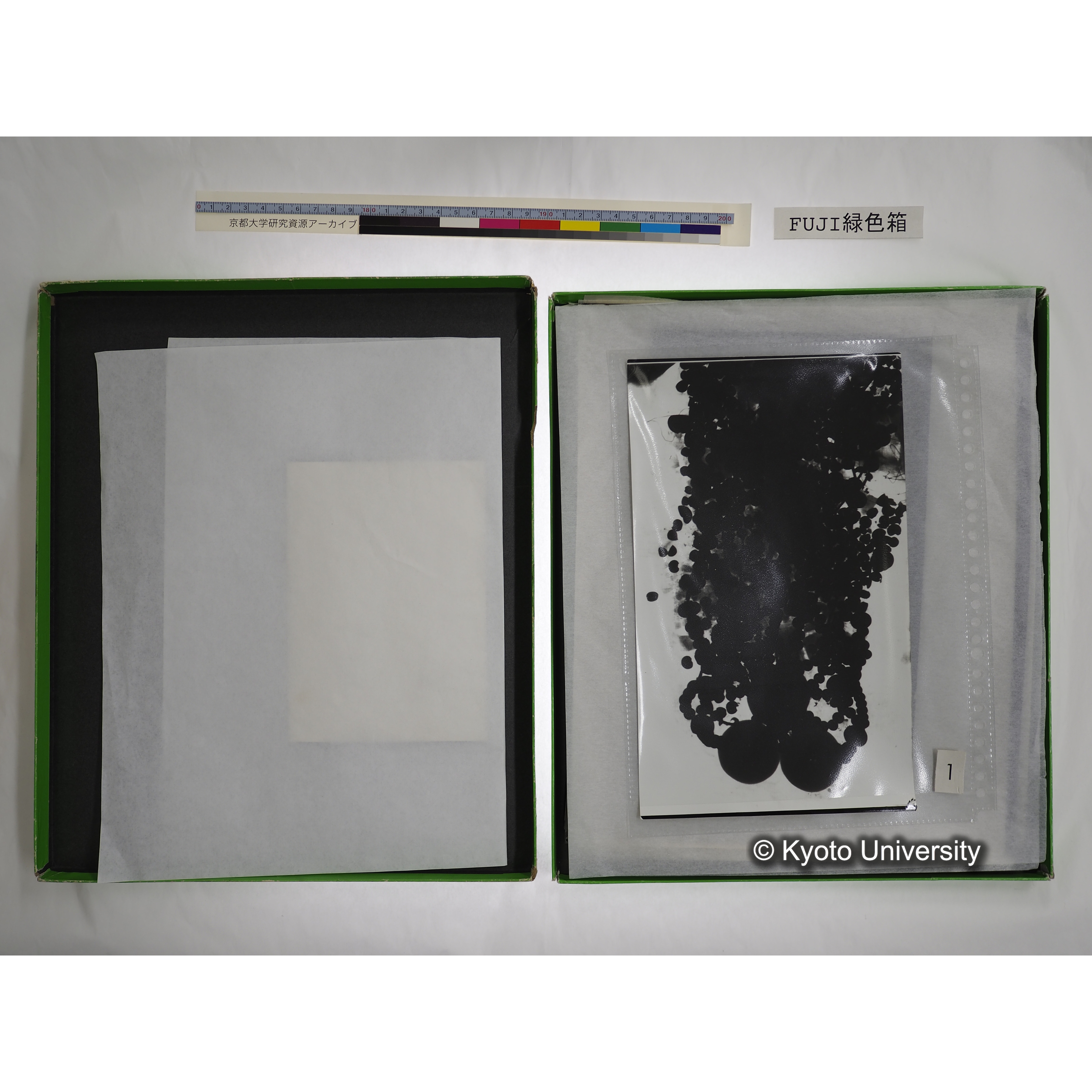 [FUJI PHOTO FILM 緑色箱] 阿武山古墳遺体 レントゲン写真 No.3 (10)