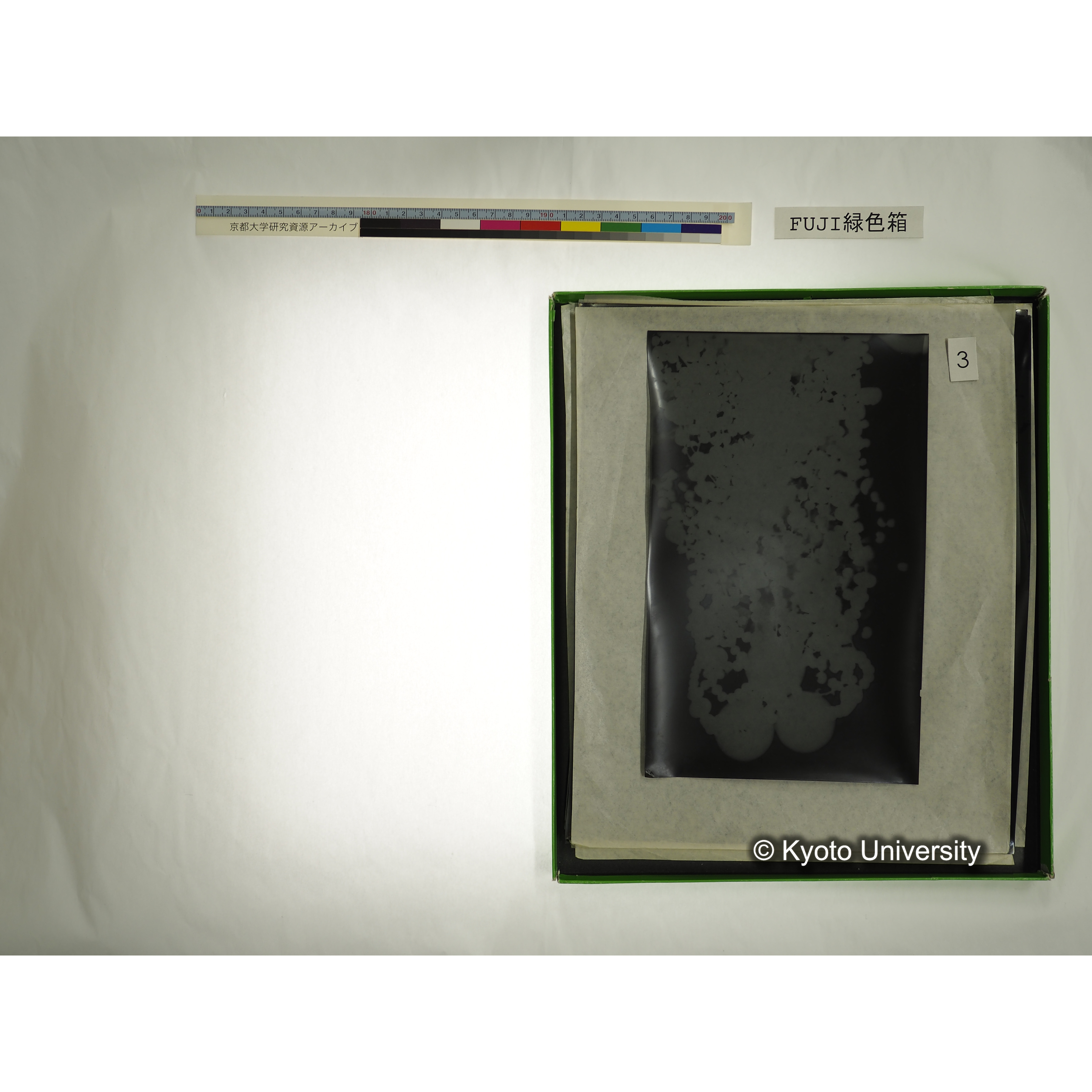 [FUJI PHOTO FILM 緑色箱] 阿武山古墳遺体 レントゲン写真 No.3 (13)