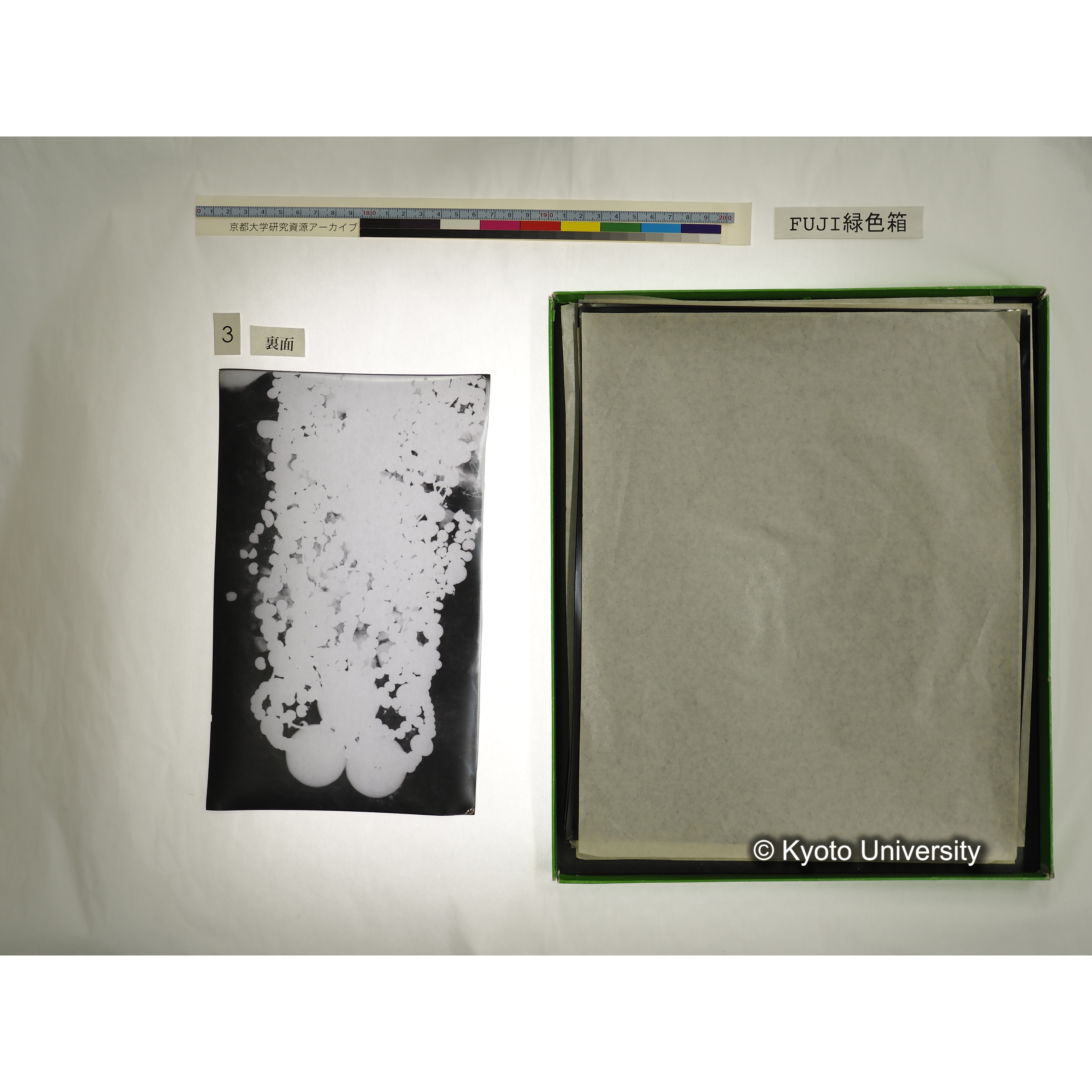 [FUJI PHOTO FILM 緑色箱] 阿武山古墳遺体 レントゲン写真 No.3 (14)