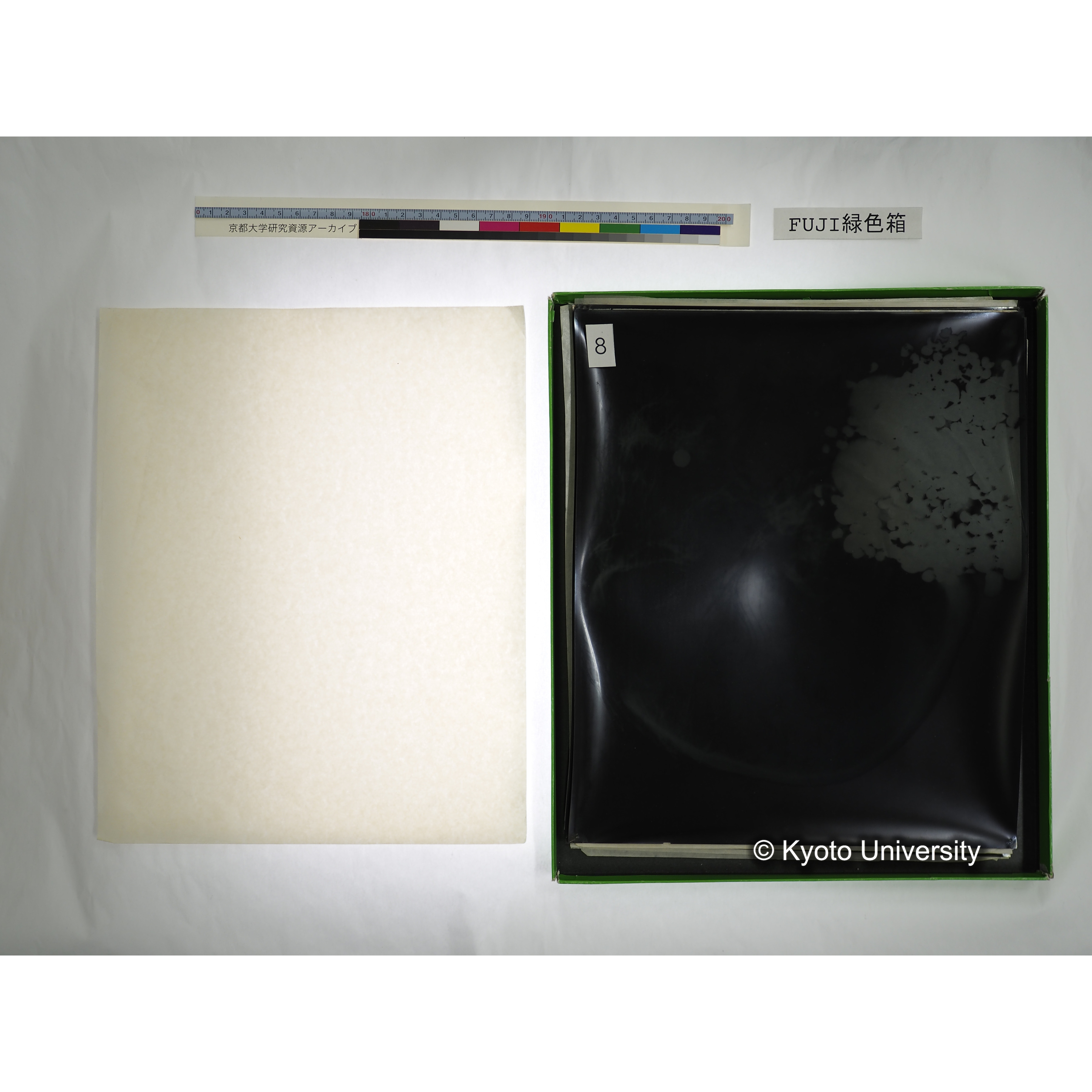 [FUJI PHOTO FILM 緑色箱] 阿武山古墳遺体 レントゲン写真 No.3 (16)