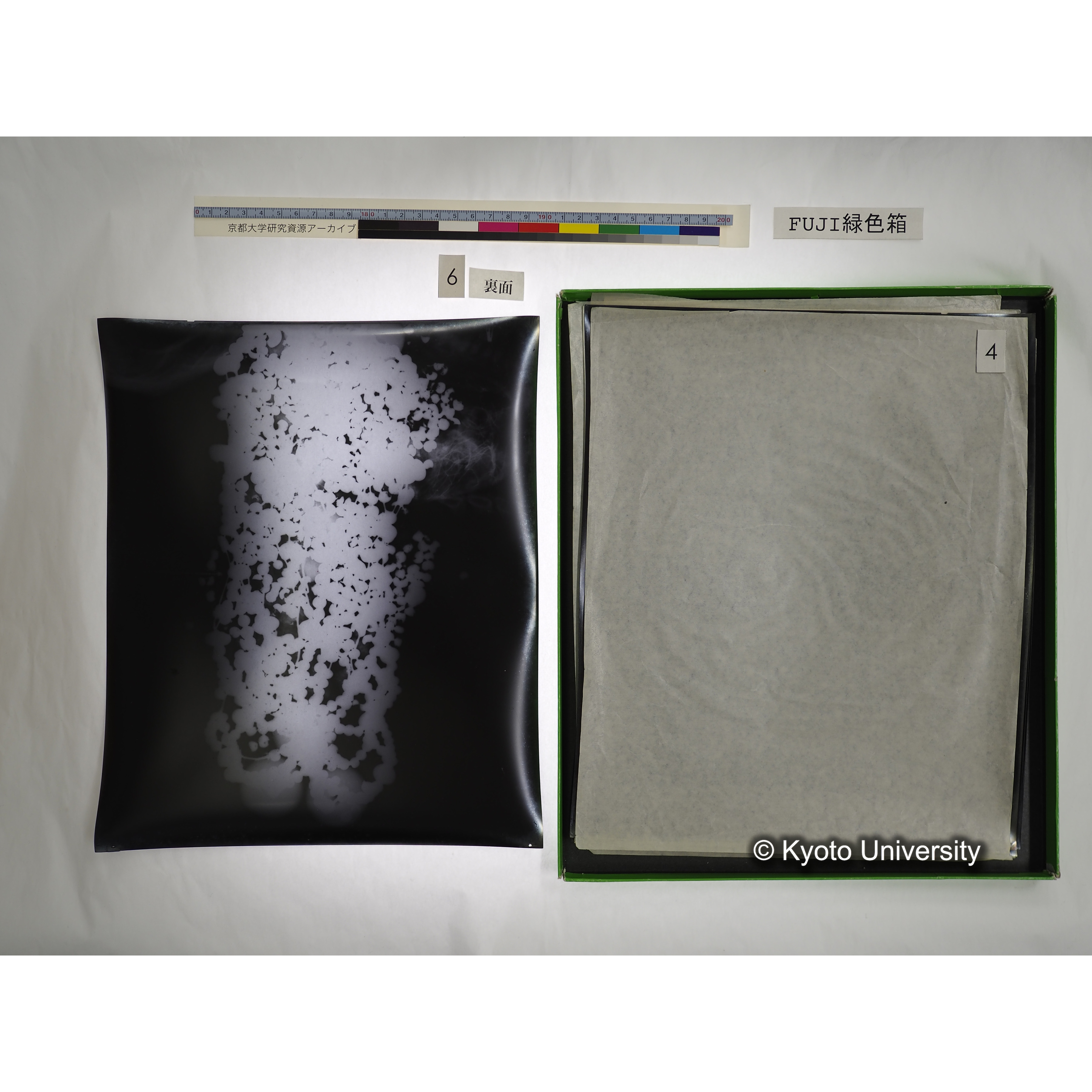 [FUJI PHOTO FILM 緑色箱] 阿武山古墳遺体 レントゲン写真 No.3 (23)