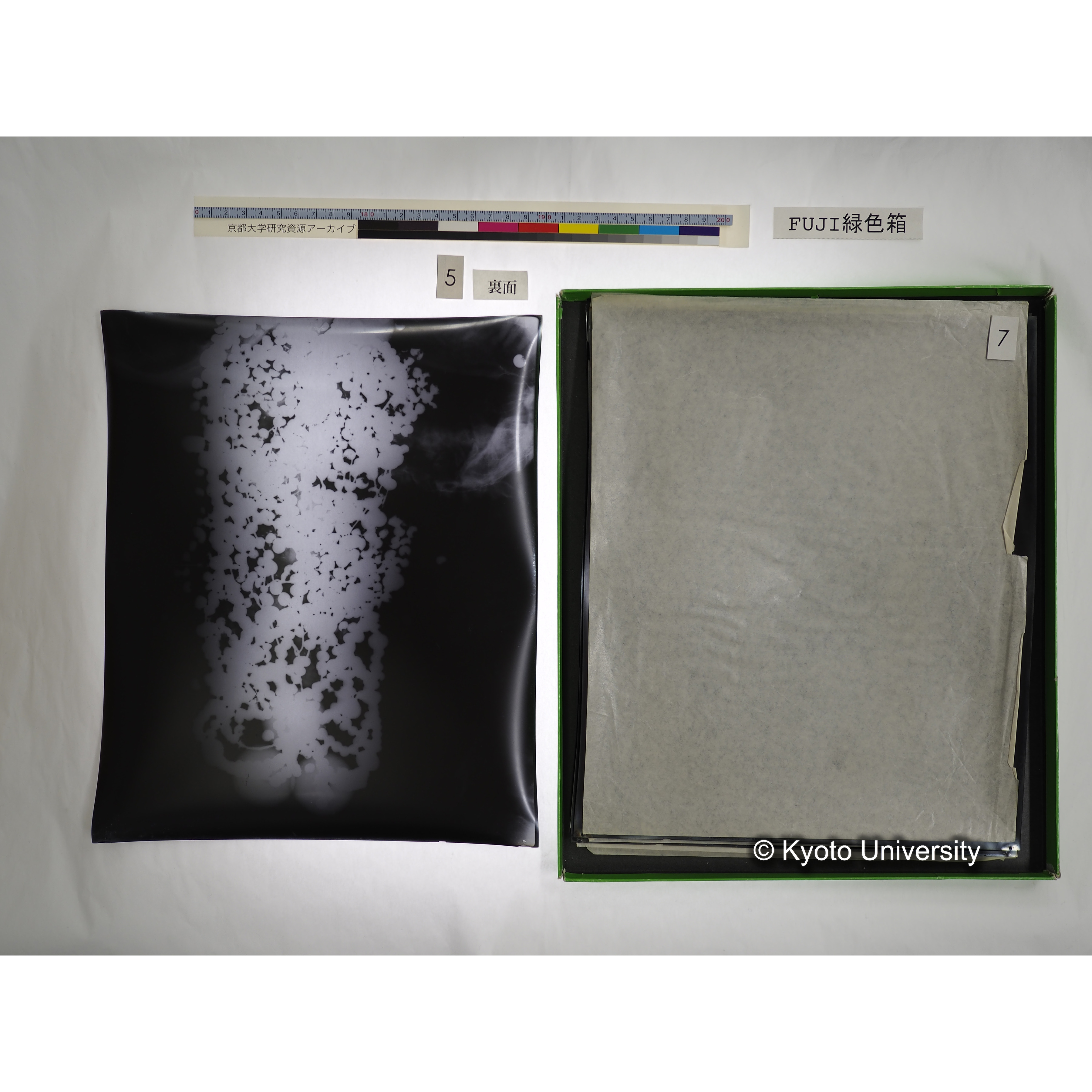 [FUJI PHOTO FILM 緑色箱] 阿武山古墳遺体 レントゲン写真 No.3 (27)