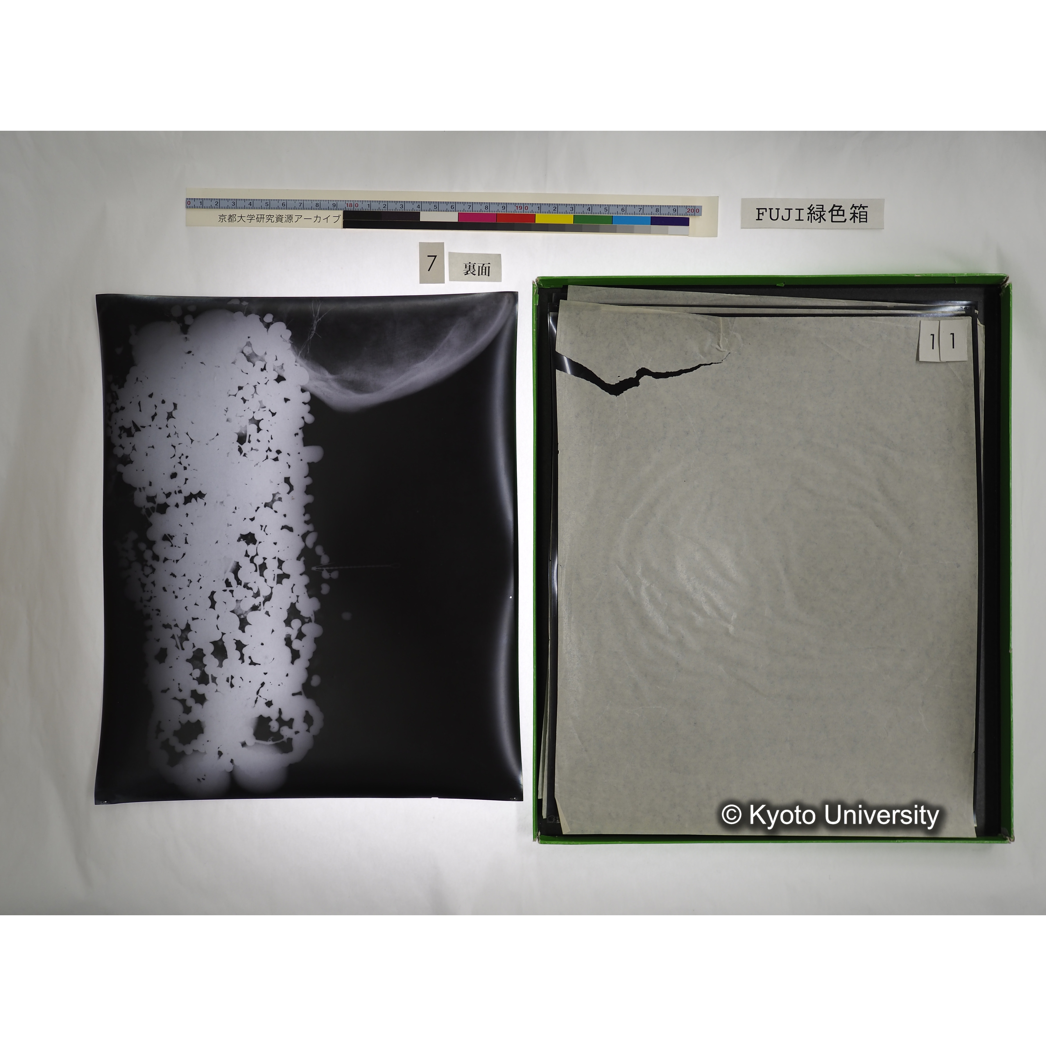 [FUJI PHOTO FILM 緑色箱] 阿武山古墳遺体 レントゲン写真 No.3 (29)