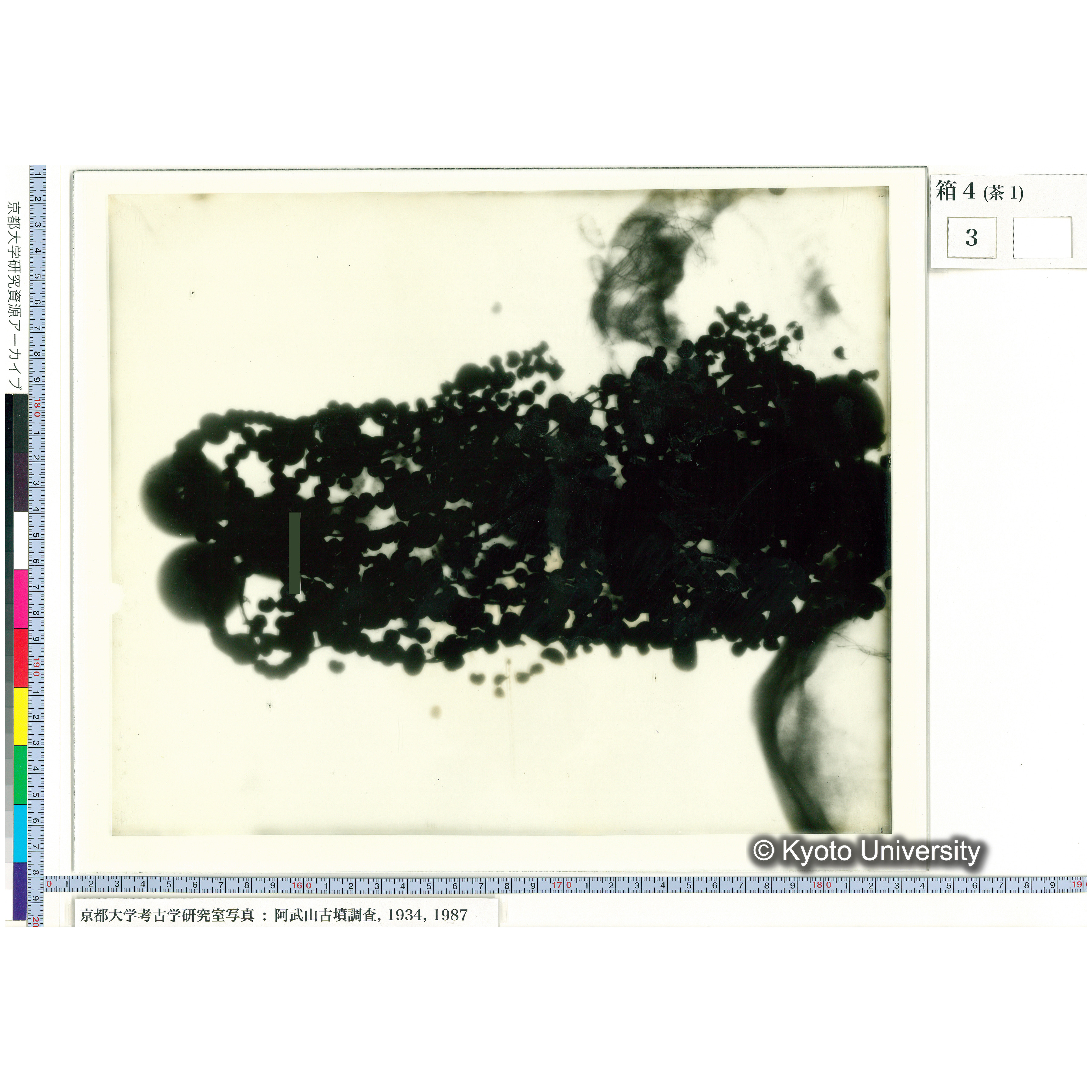 [乾板] 玉枕レントゲン２ (1)